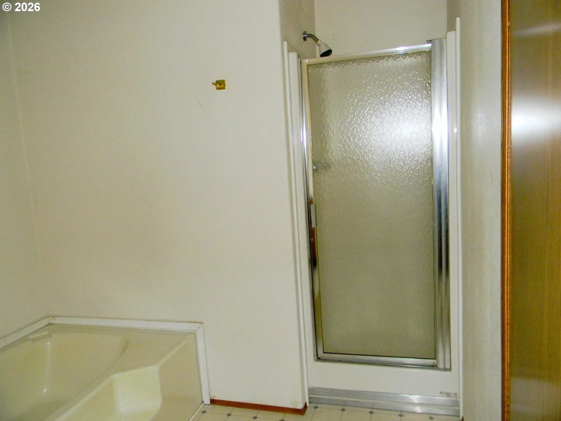 Owner's Suite Bathroom-Walk in Shower