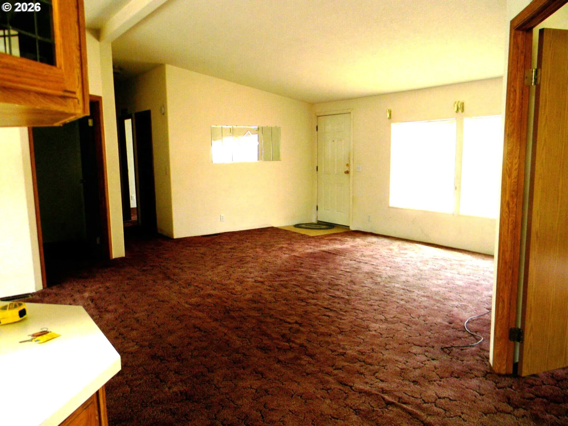 Living Room/Entrance
