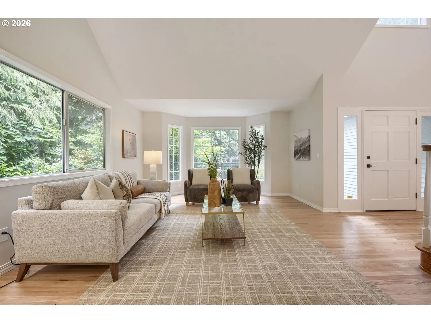 Living Room/Entrance
