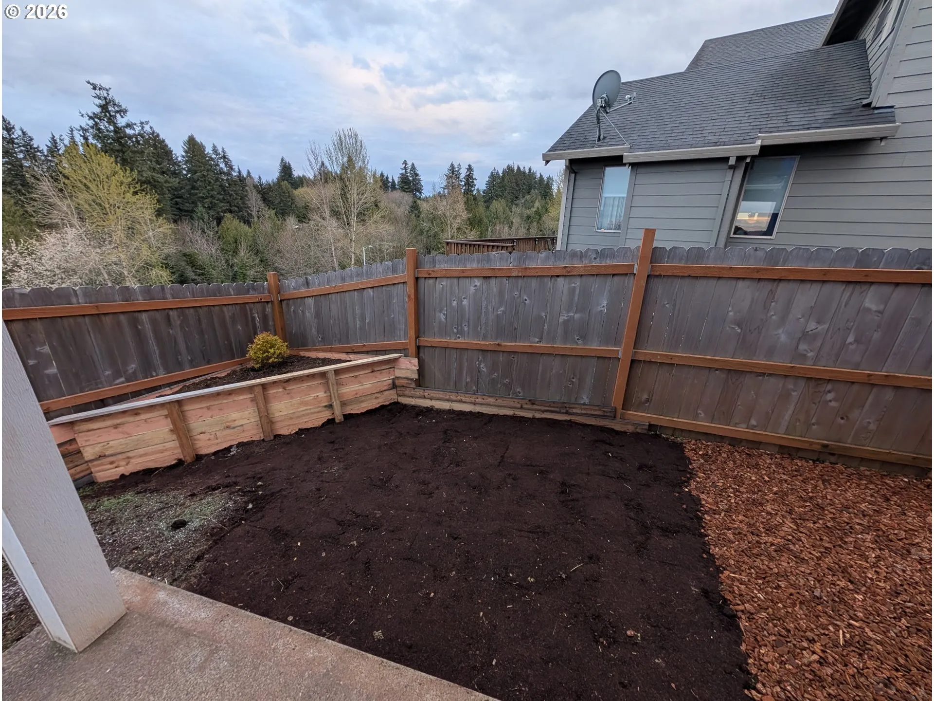 Backyard-# 2