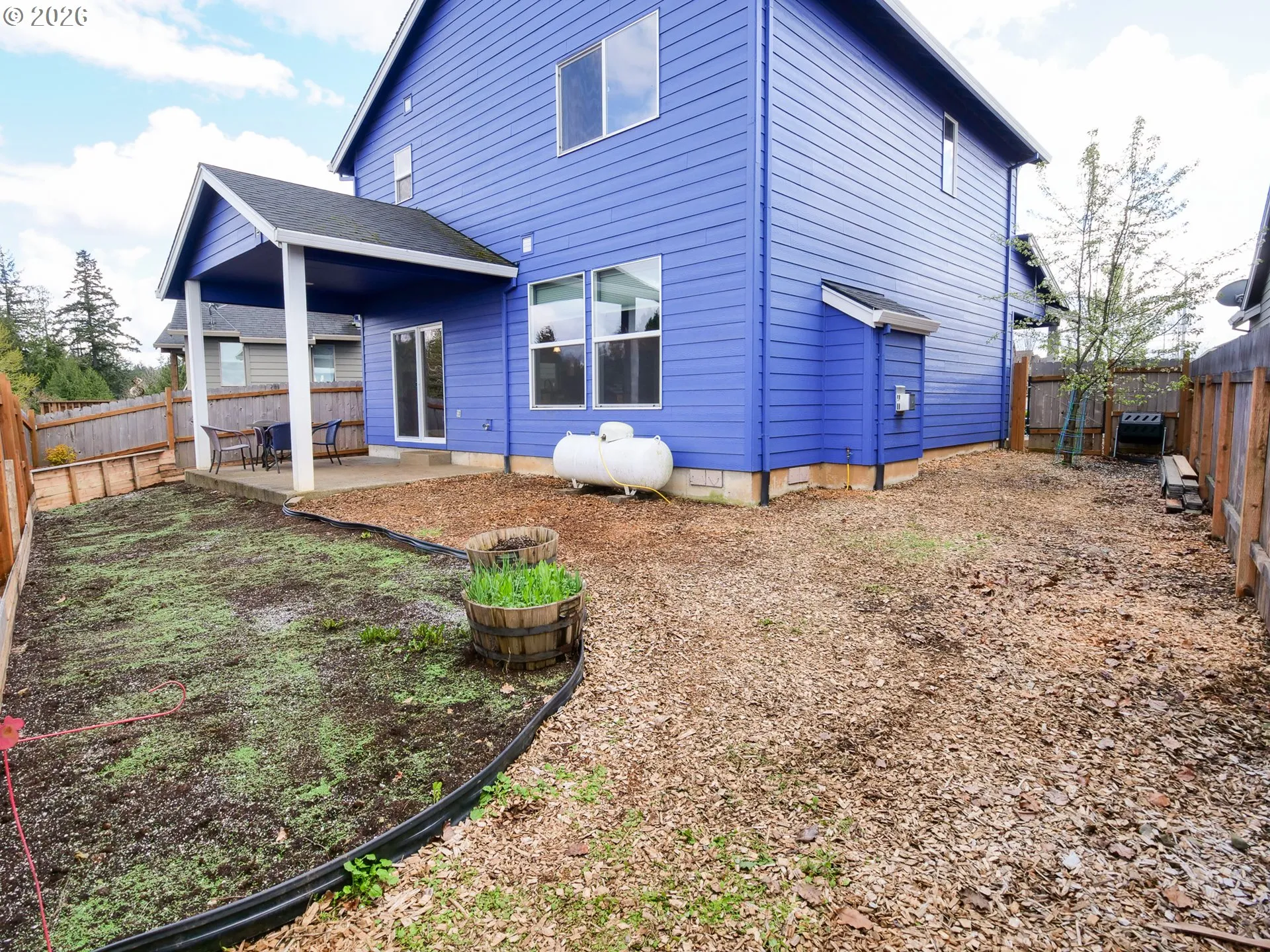 Backyard-# 3