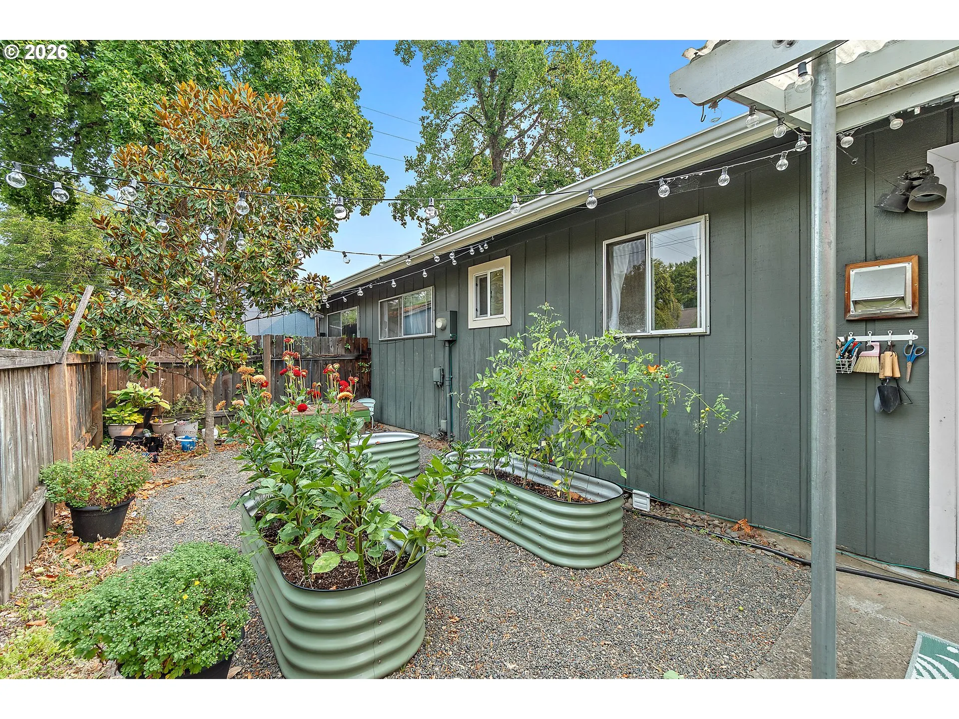 Backyard-Fenced