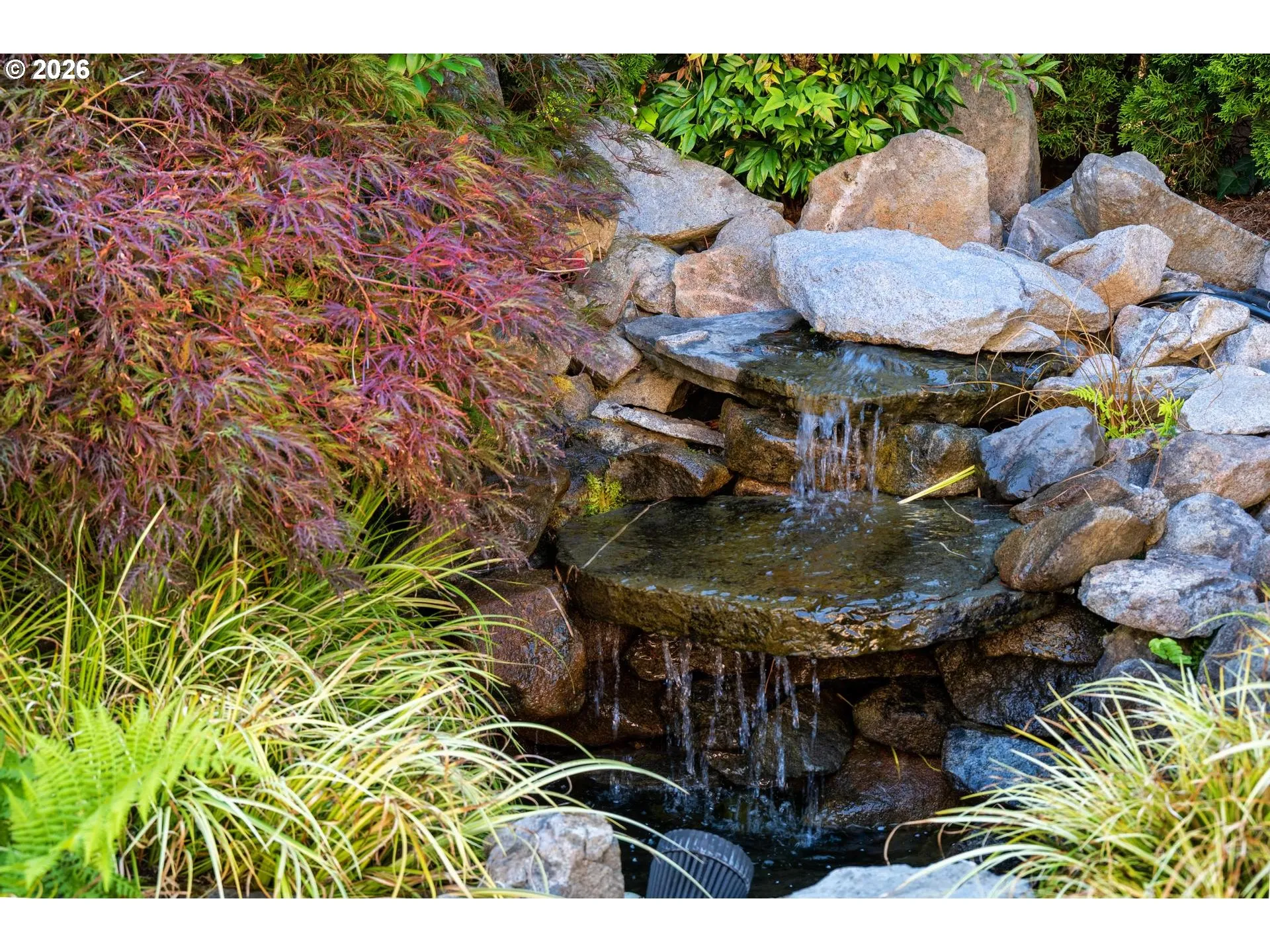 Water Feature
