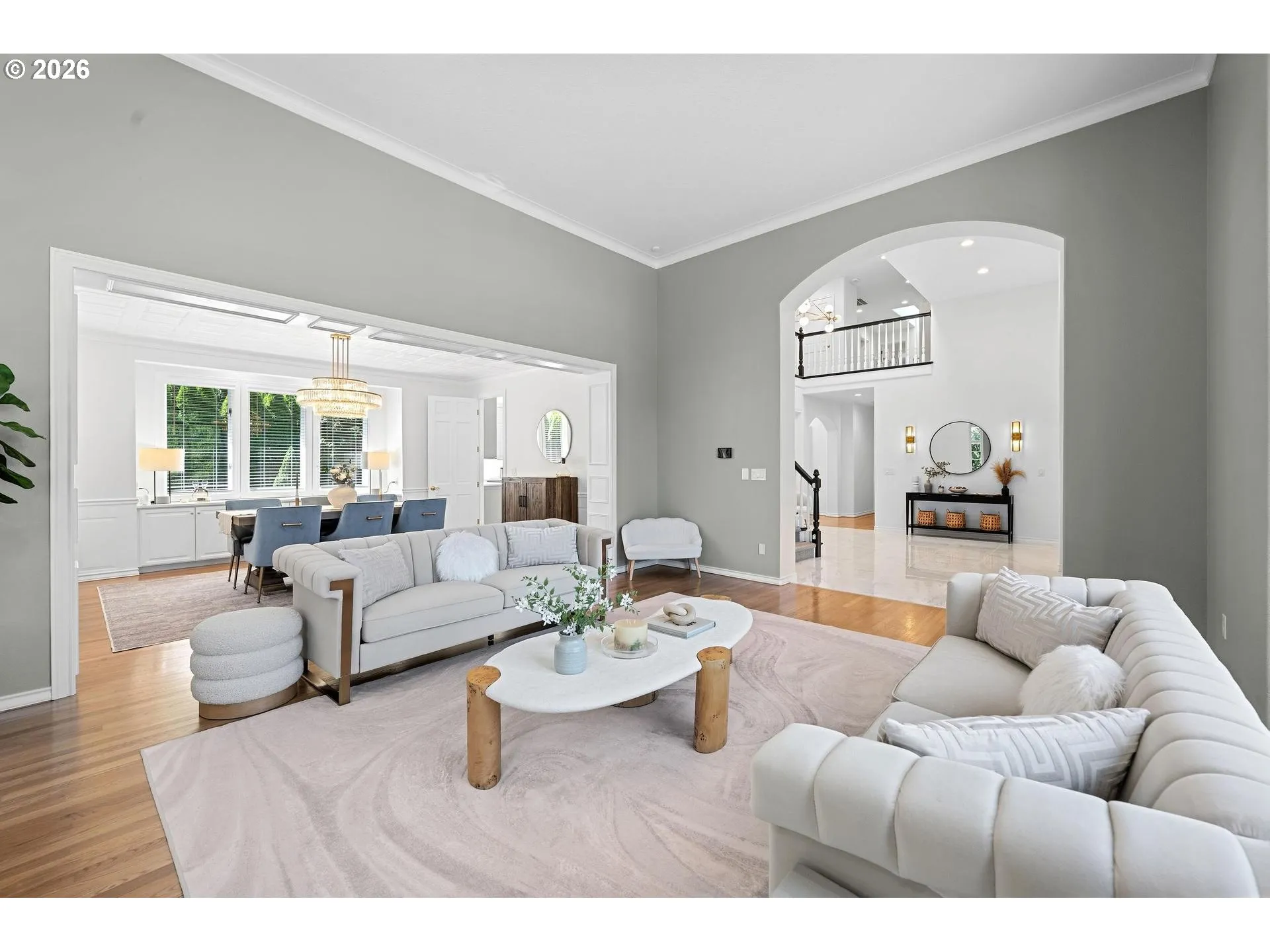 Living Room/Entrance