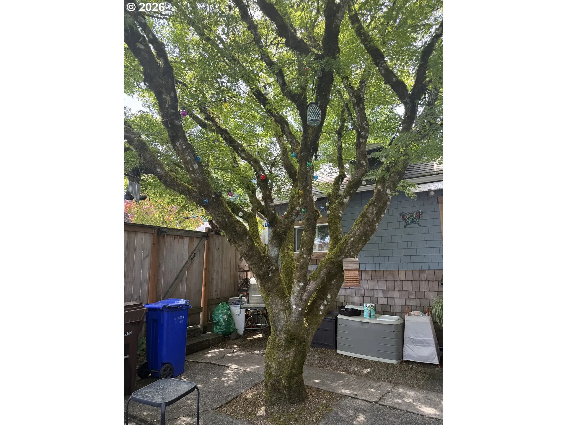 Yard-Trees