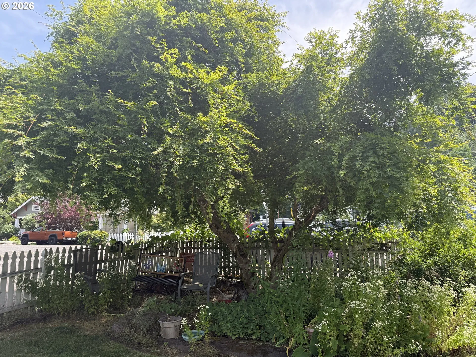 Yard-Front