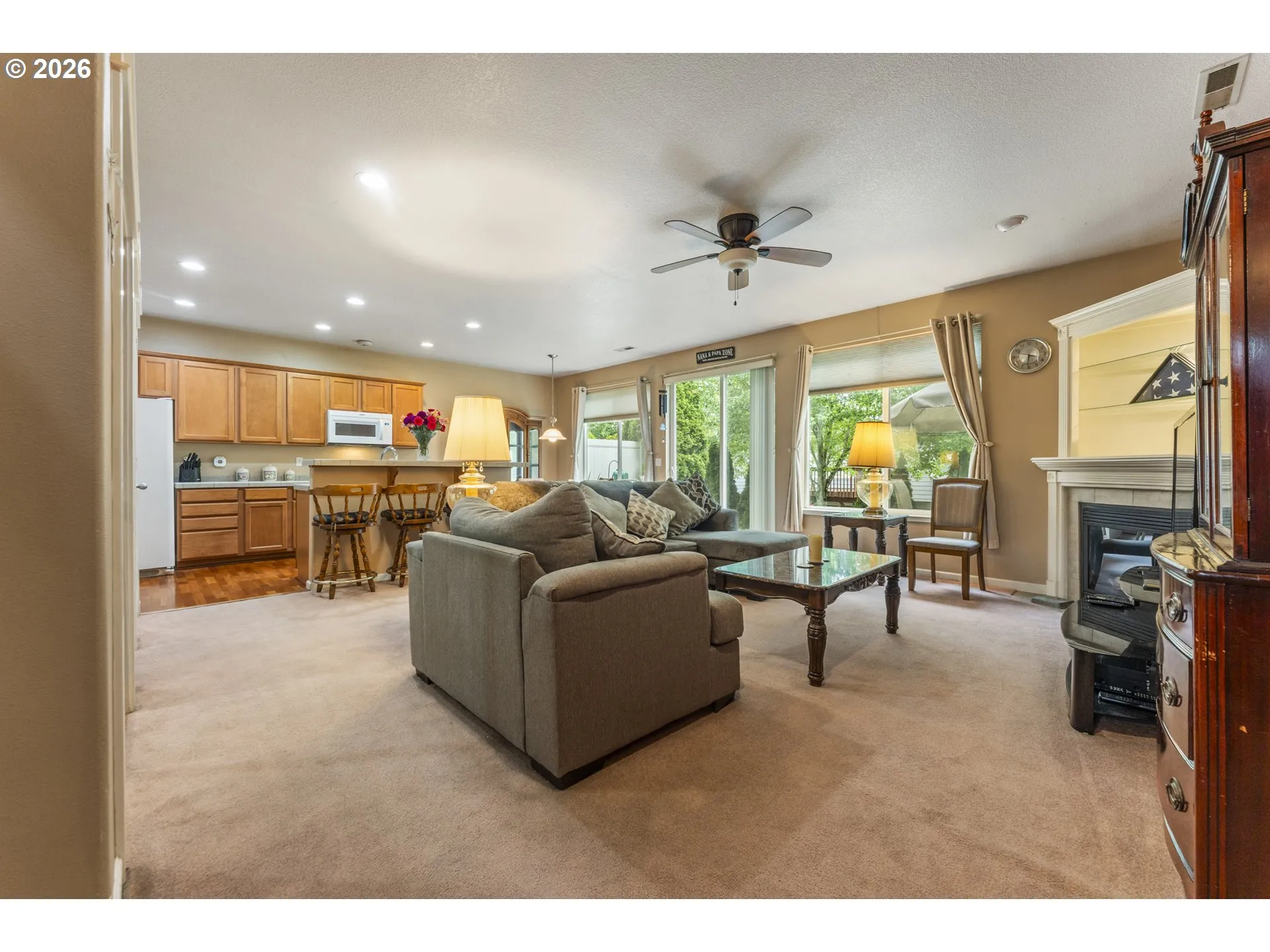Living Room-Ceiling Fan