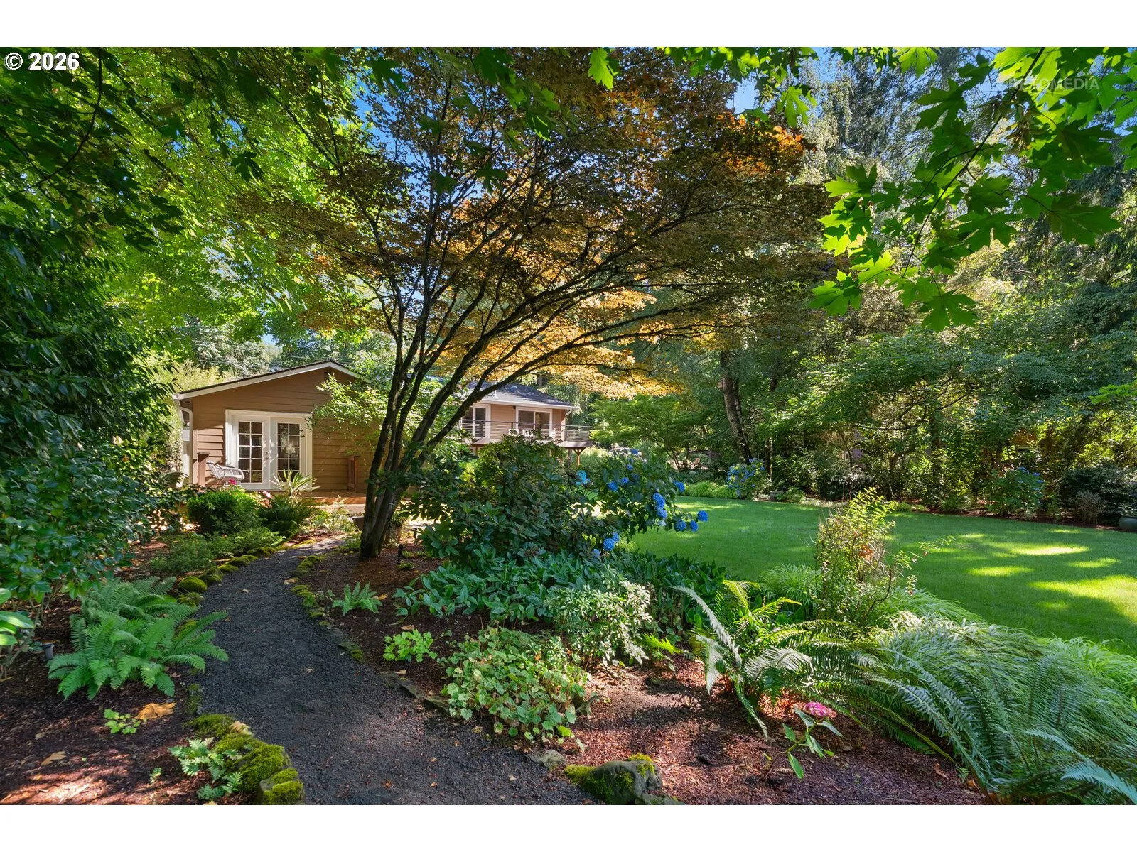 Backyard