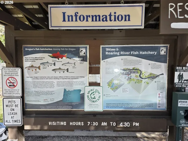 Public Amenities