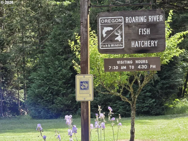 Public Amenities