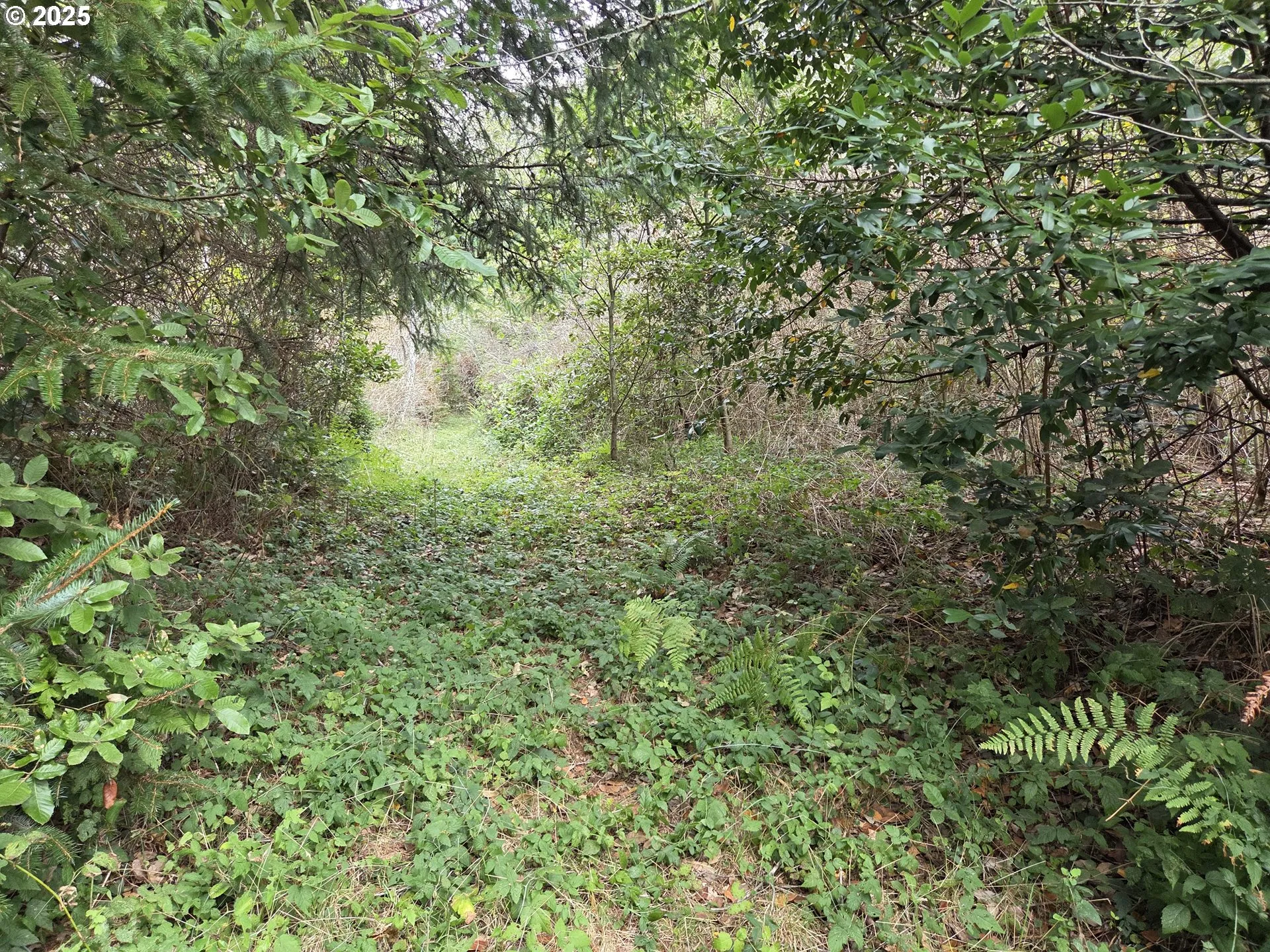 Acreage