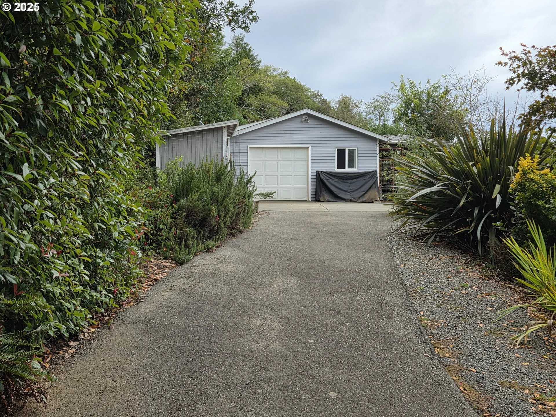 Driveway