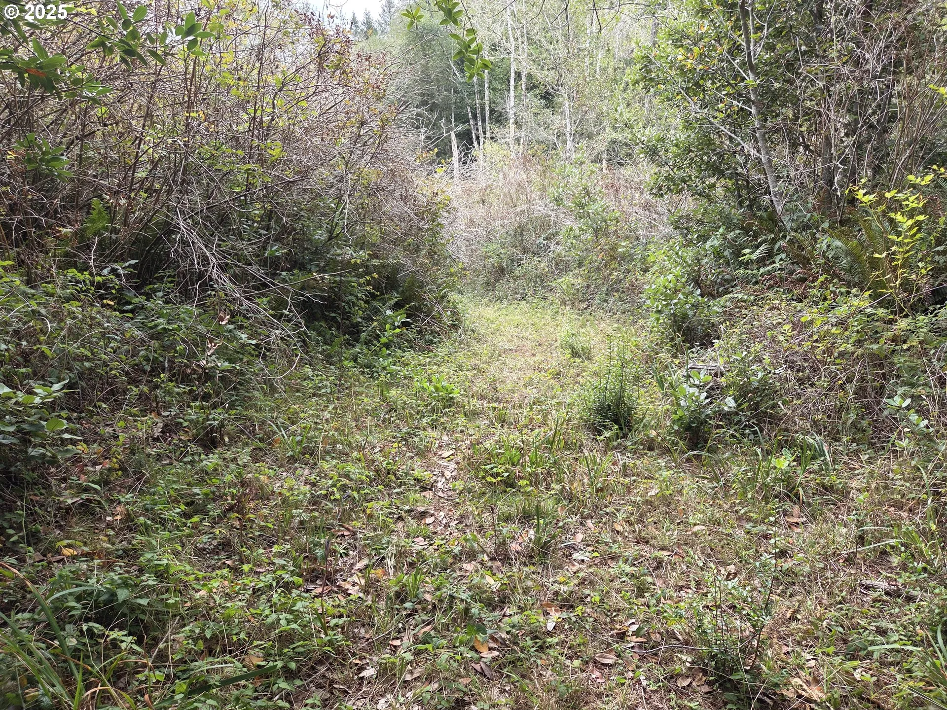 Acreage
