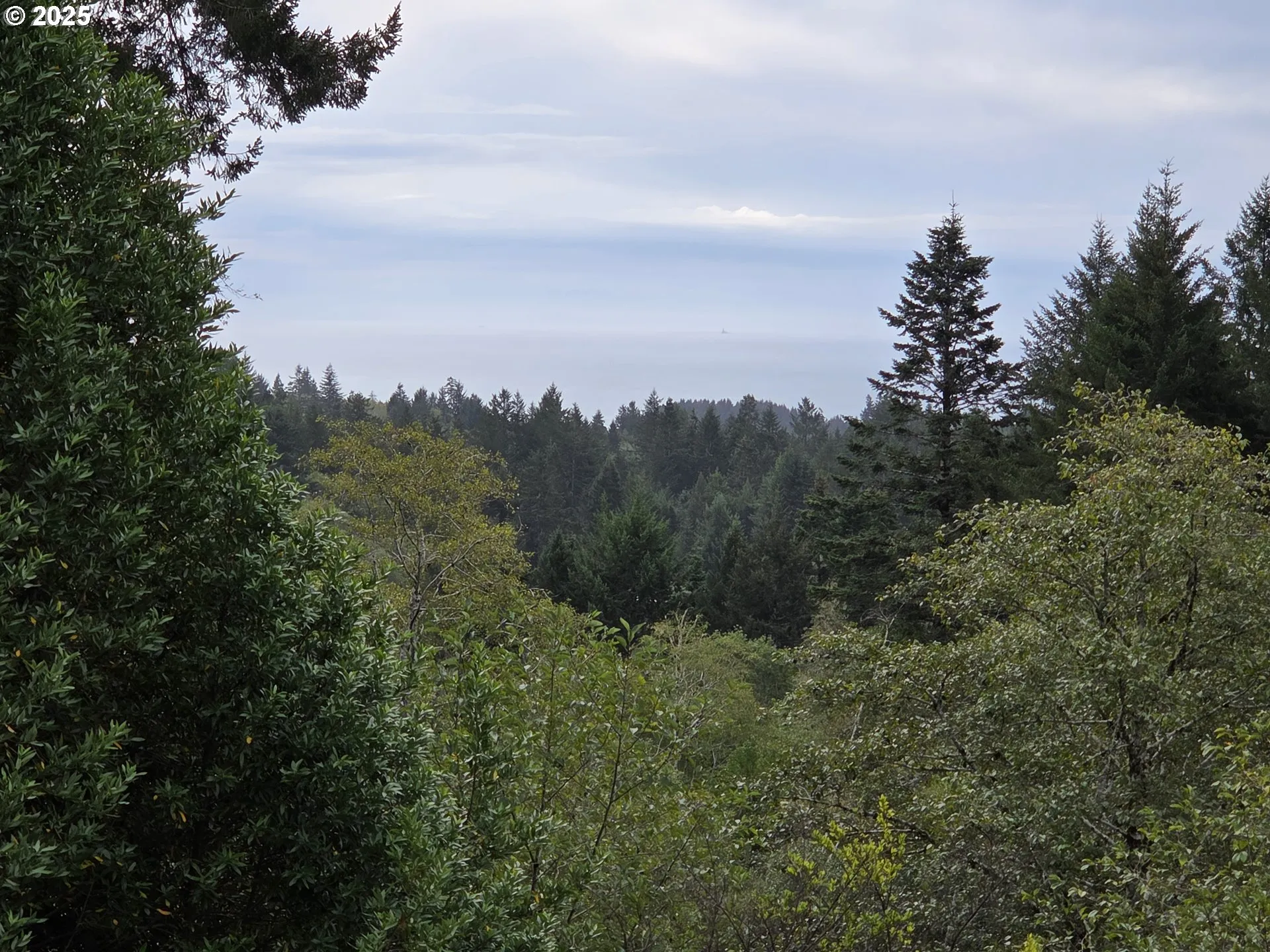 View-Ocean