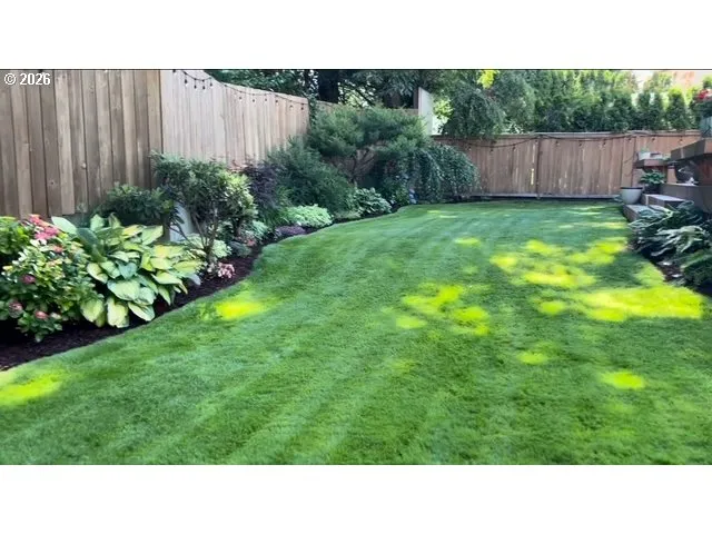 Backyard-Fenced
