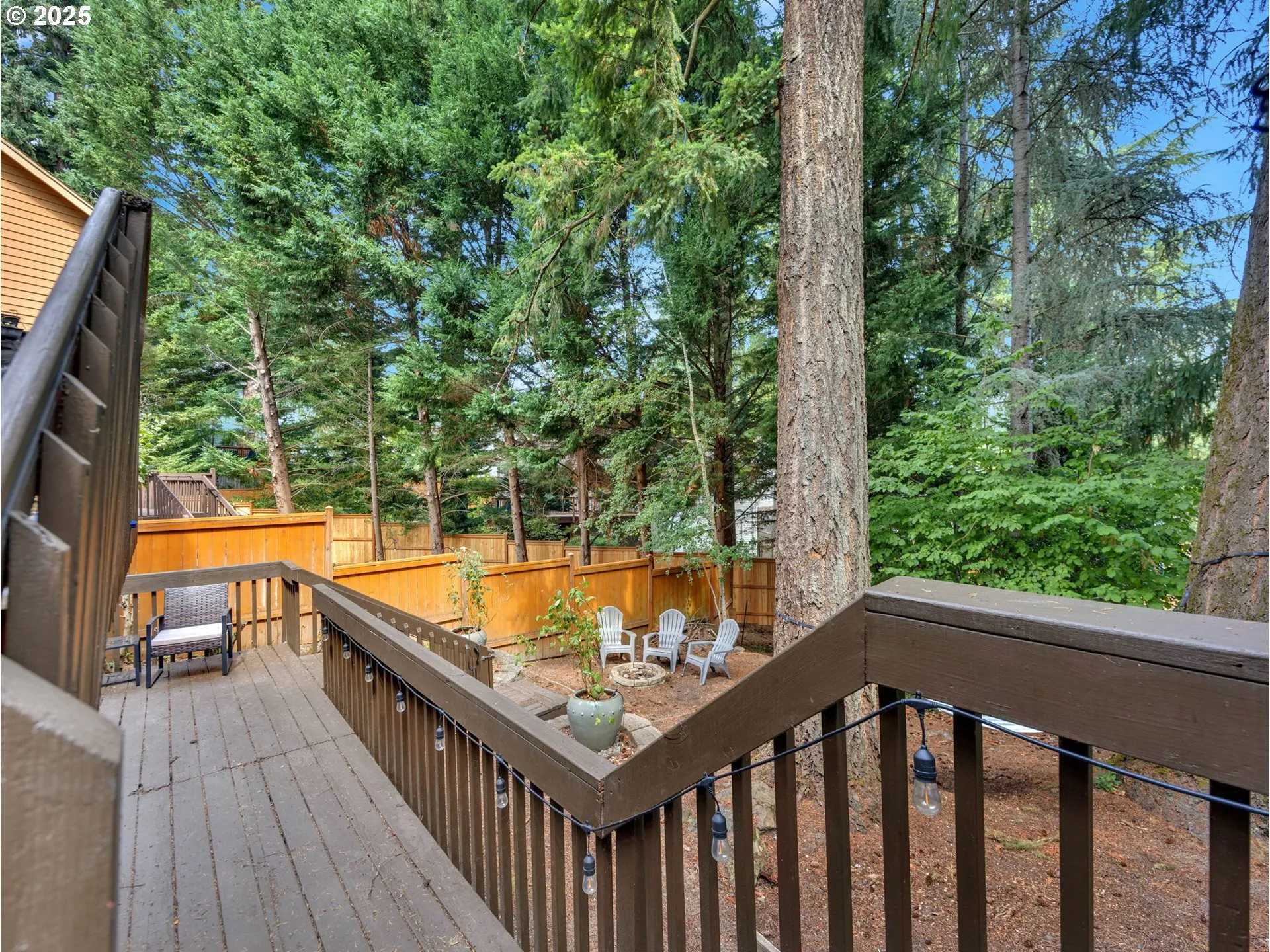 Backyard-View From
