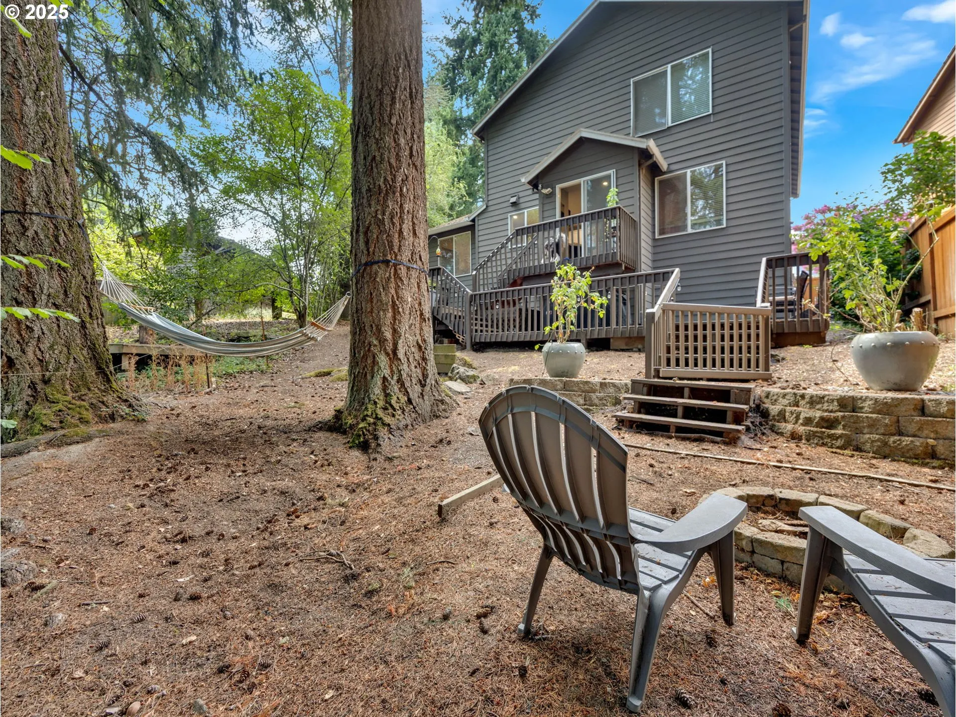Backyard-View From