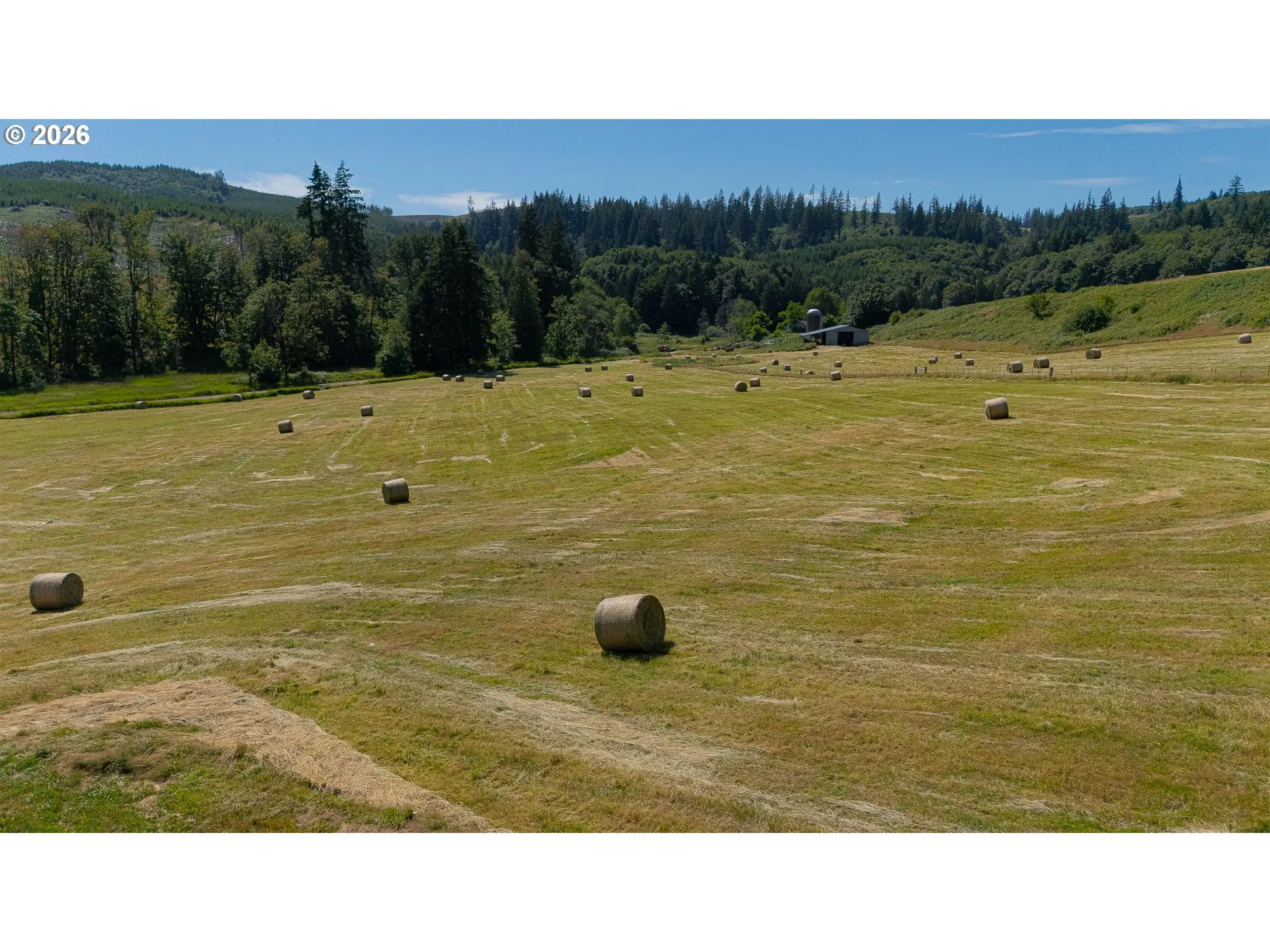 Pasture