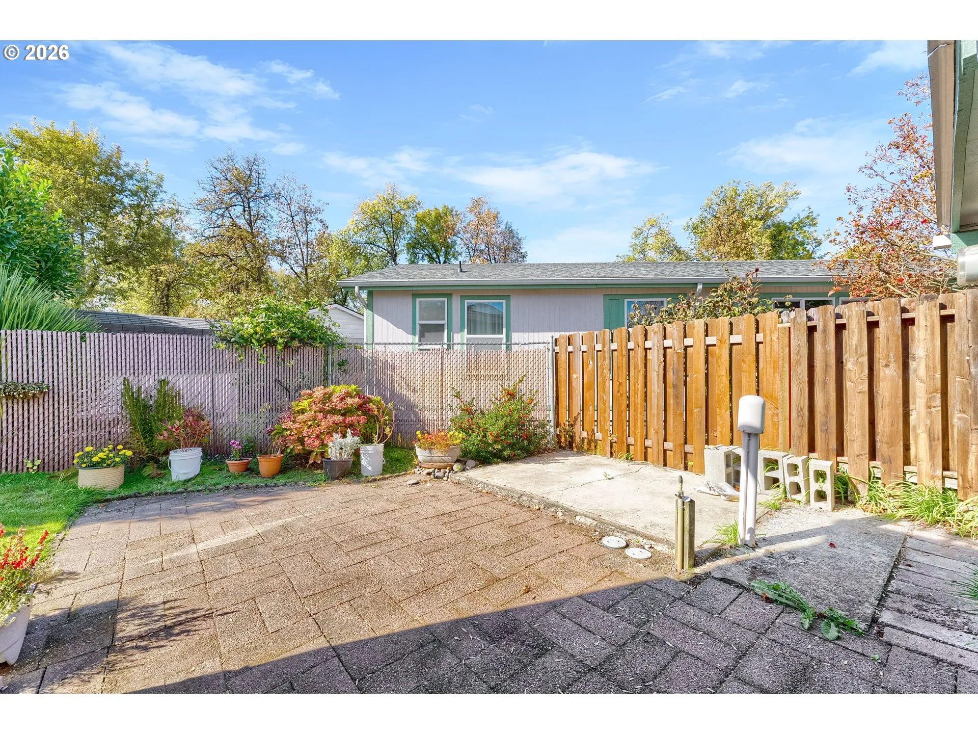 Backyard