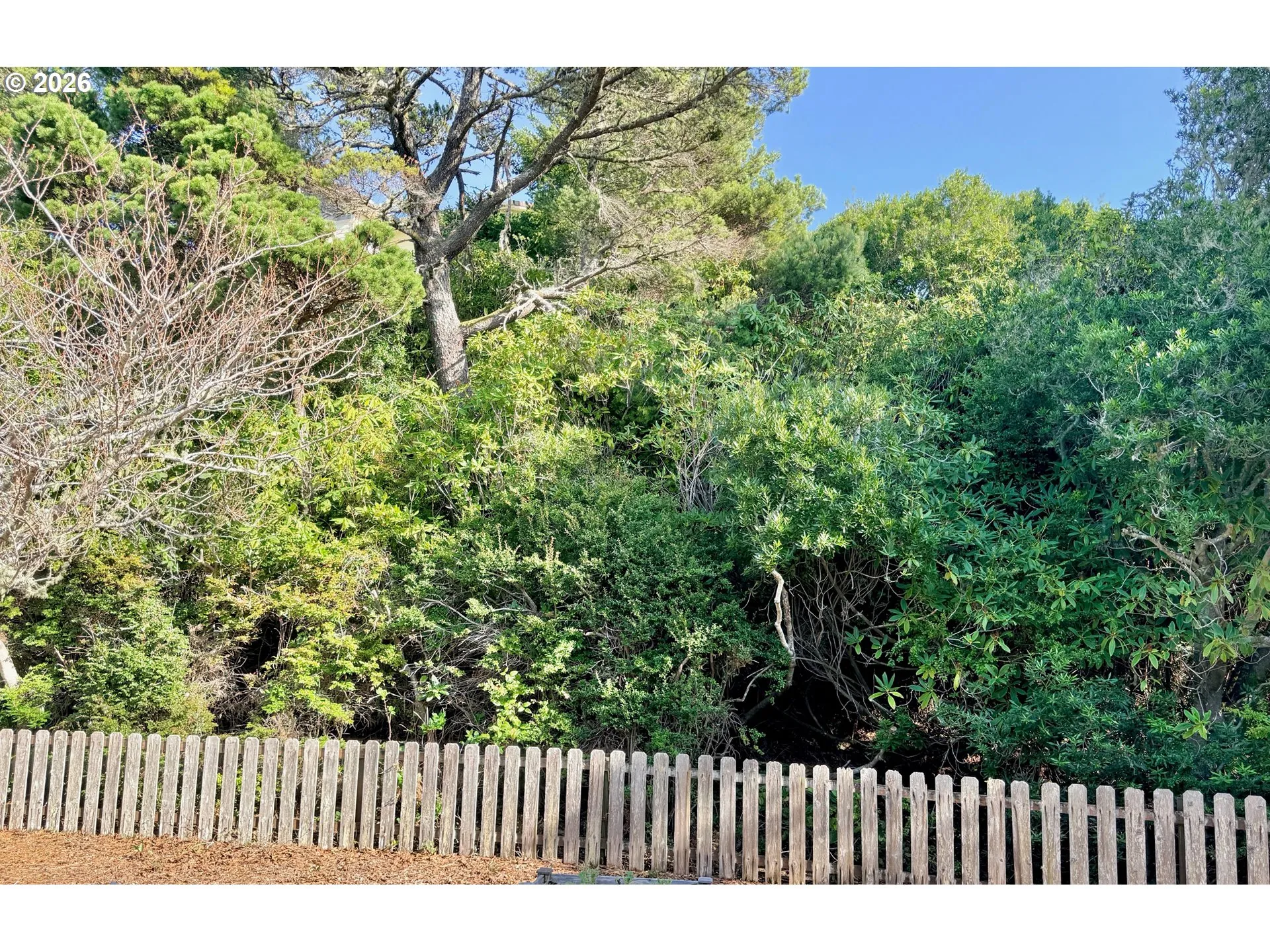Backyard-Fenced