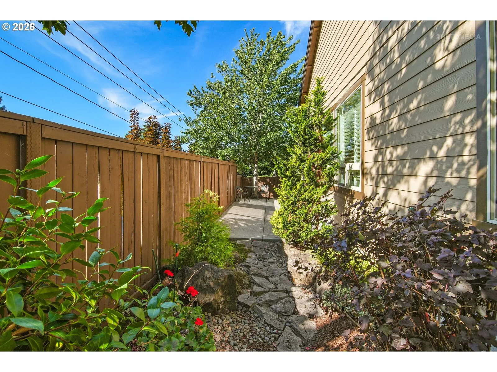 Backyard