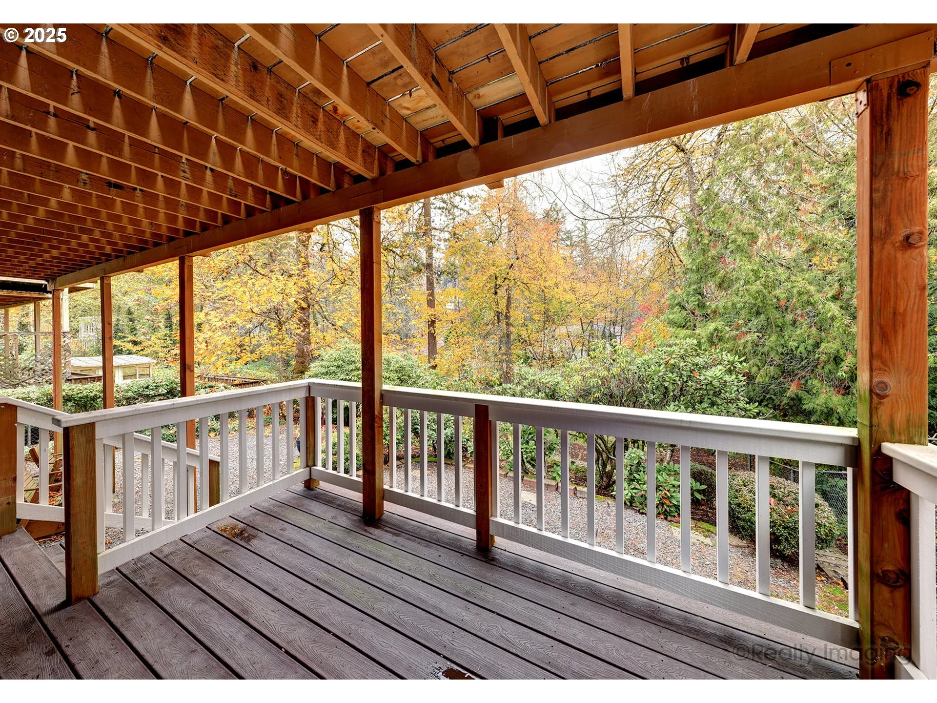 Deck-Lower