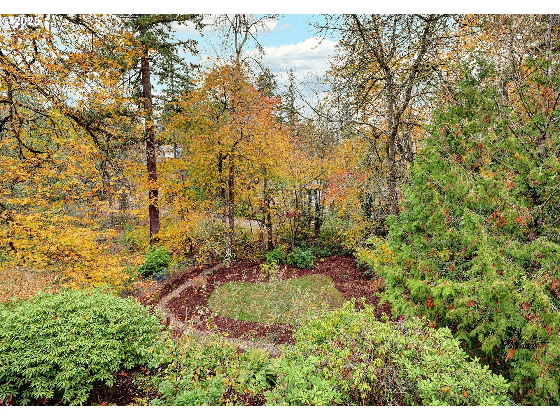 Backyard-# 2