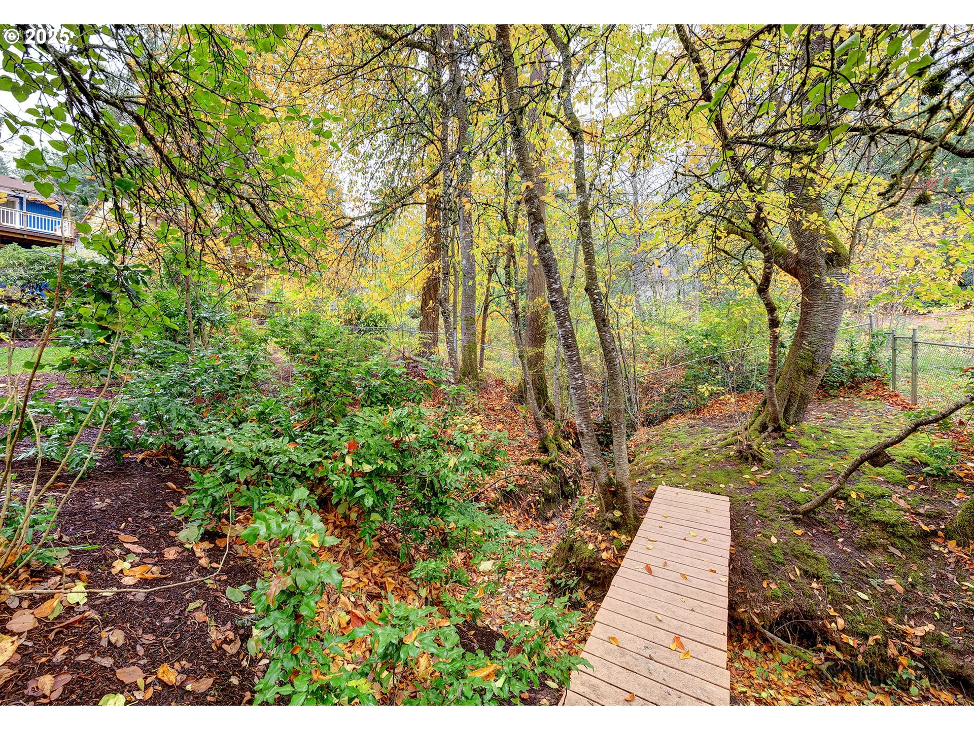 Backyard-# 2