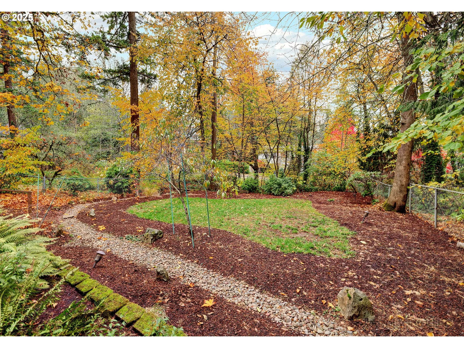 Backyard-# 2