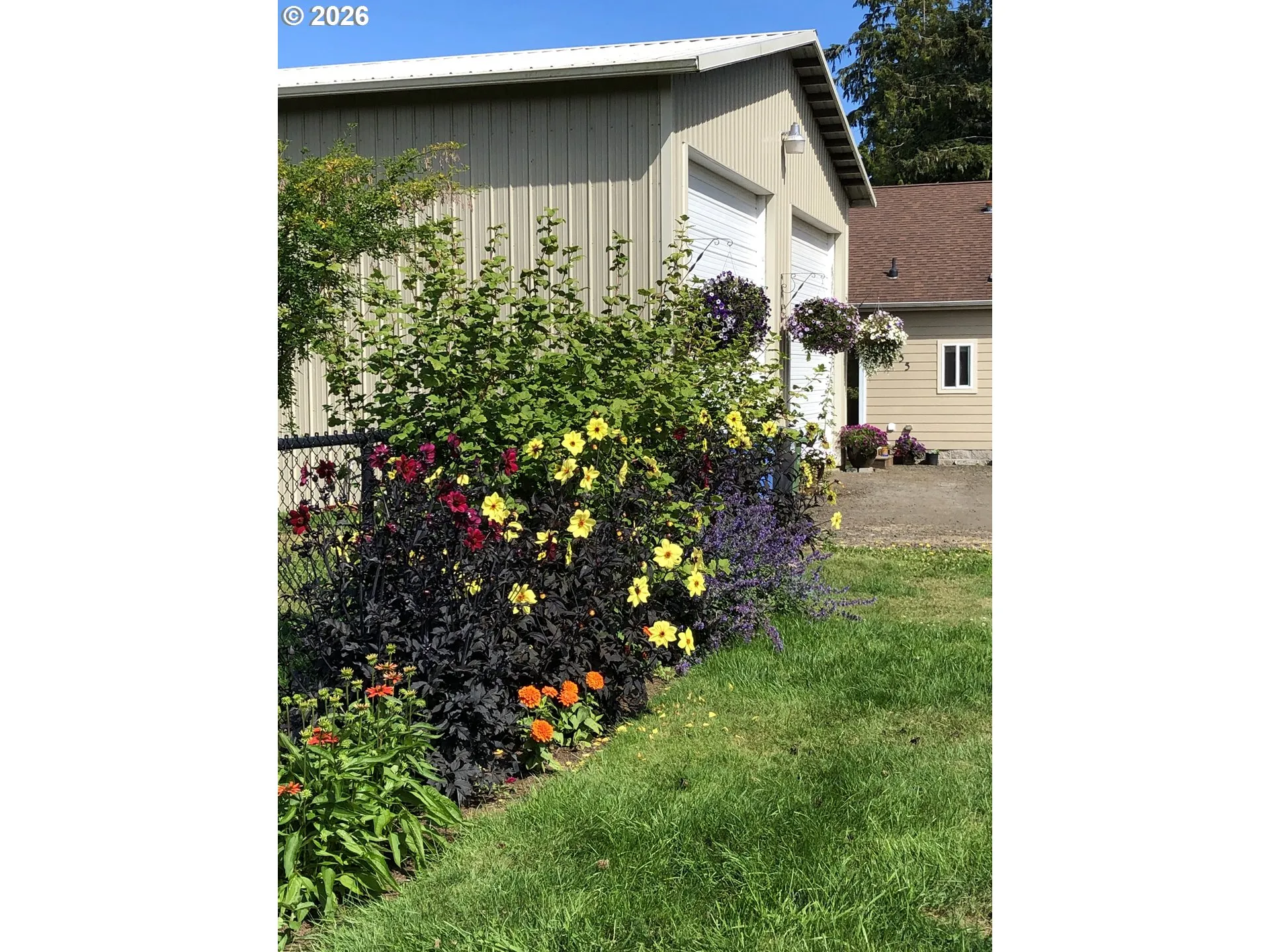 Front Yard