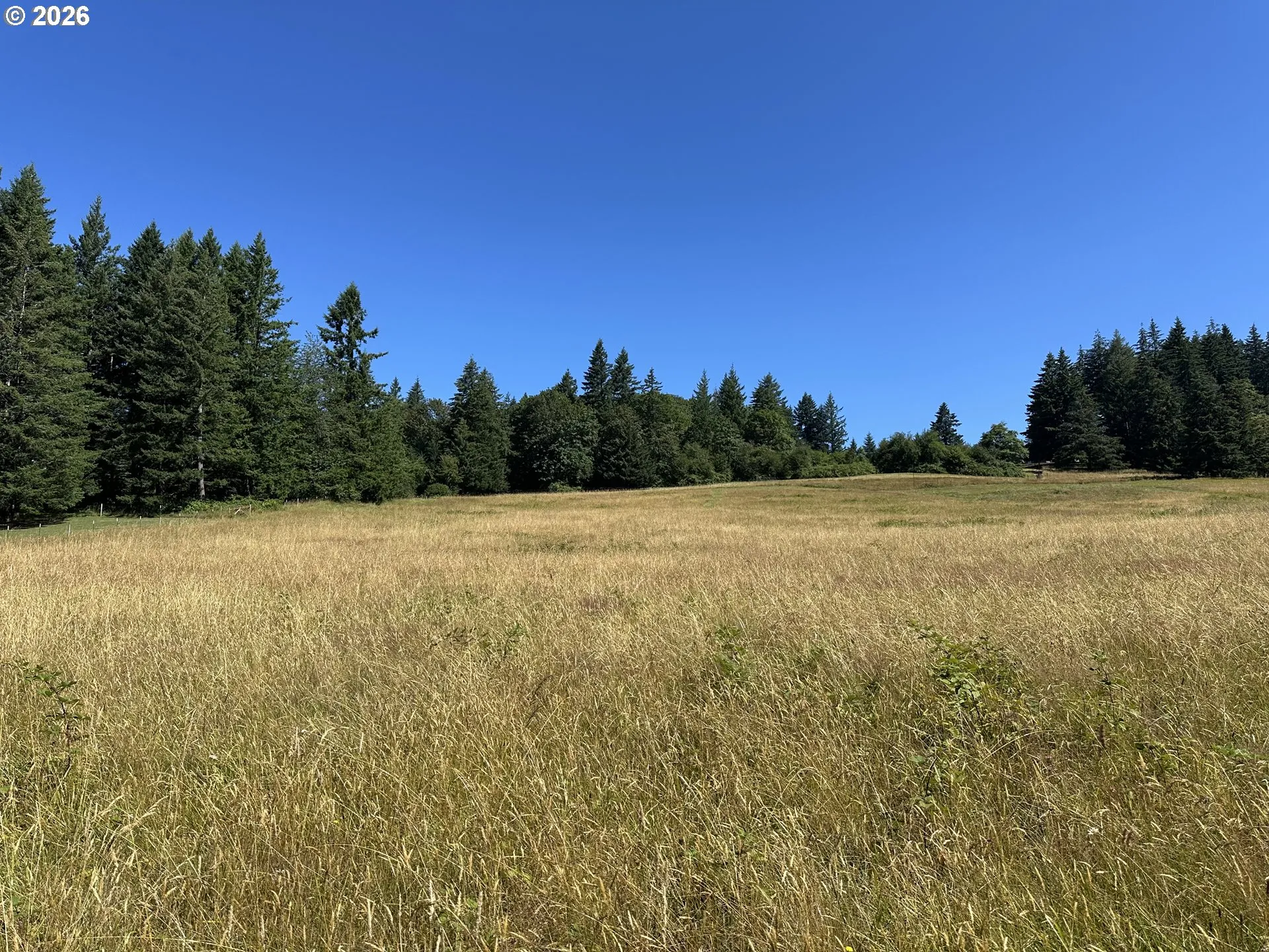 Pasture