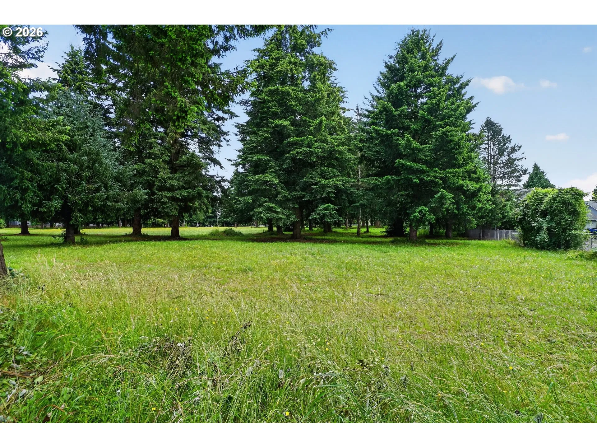 Backyard-View From