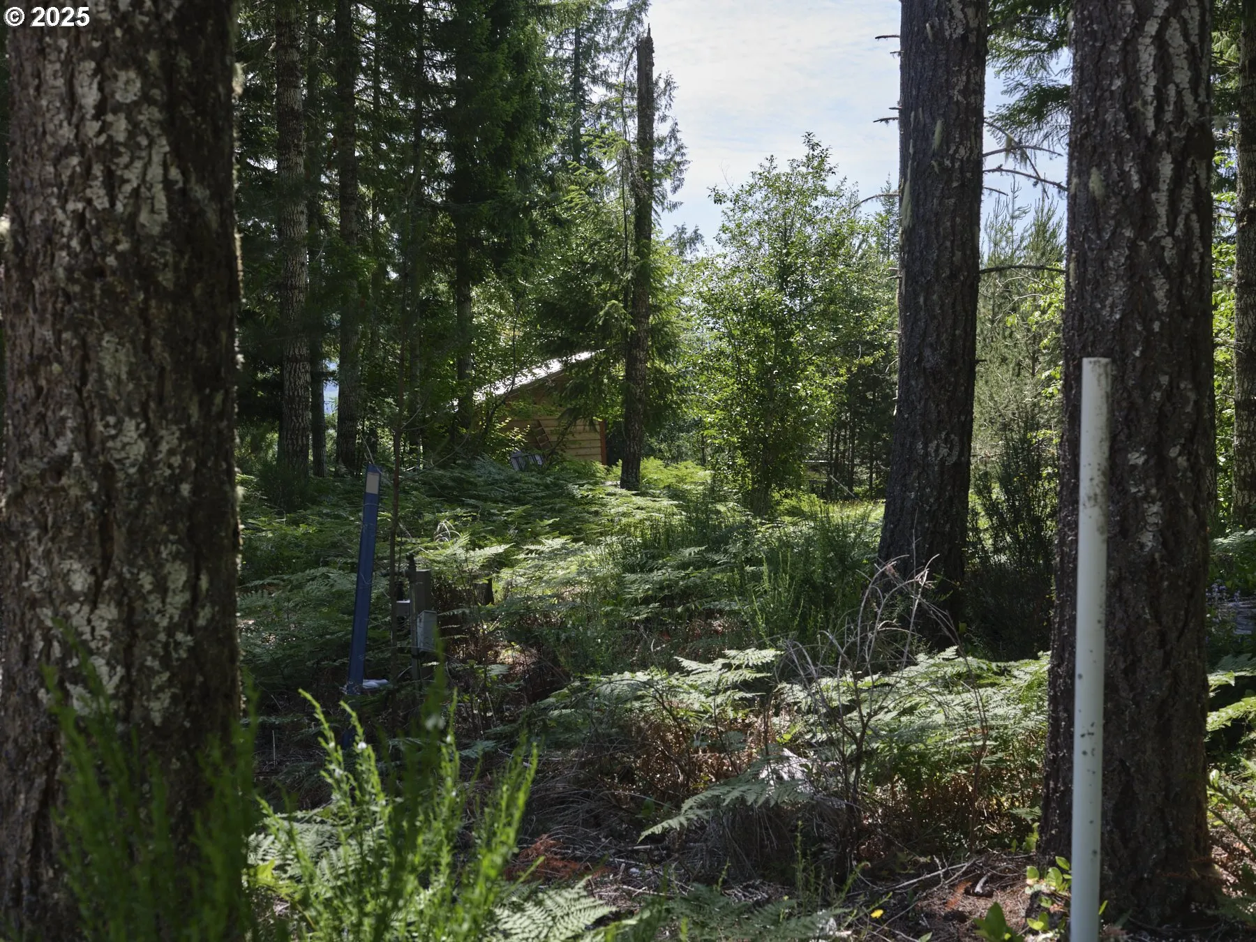 Acreage