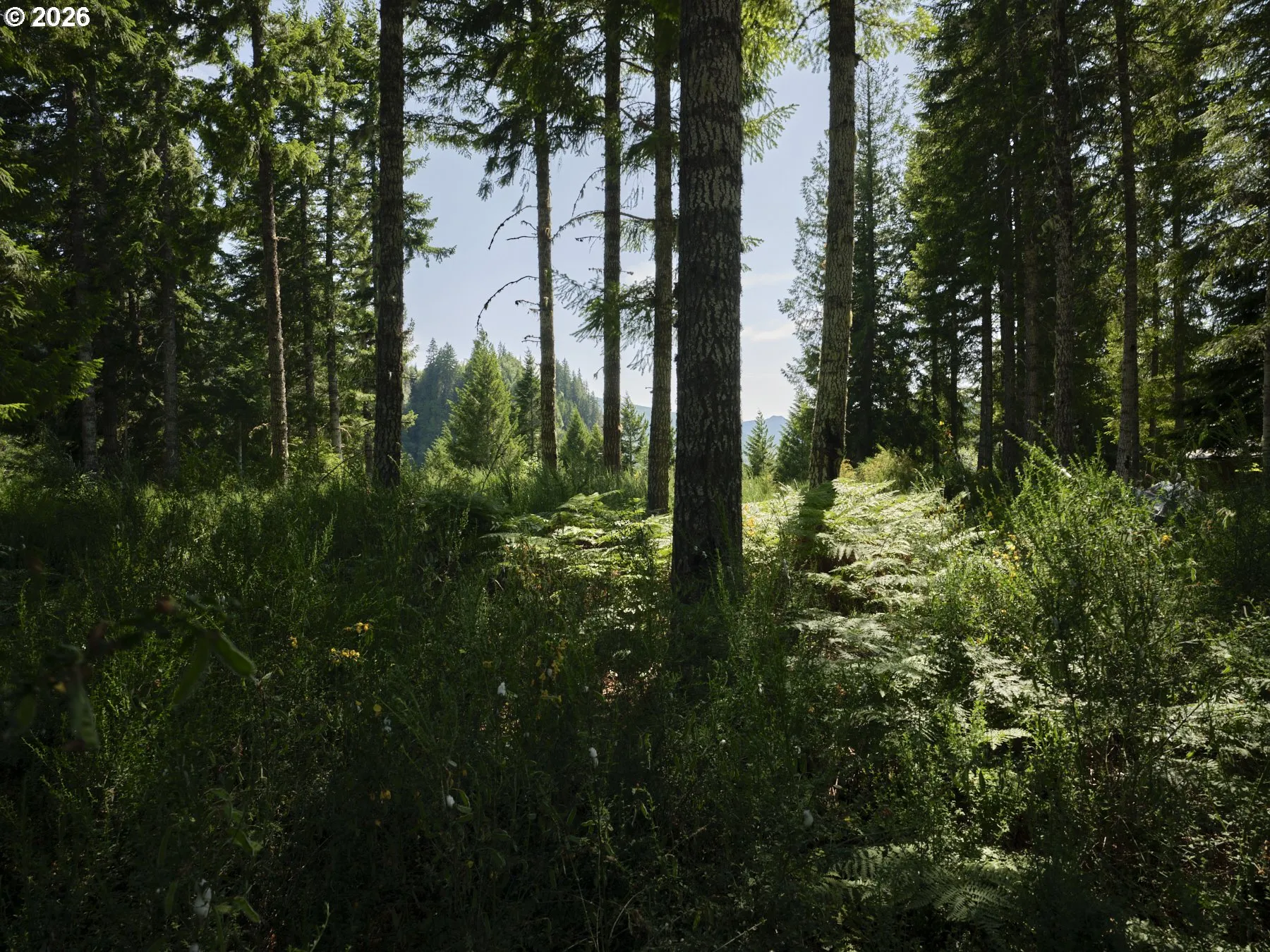 Acreage