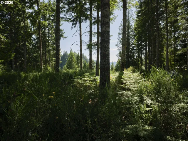 Acreage