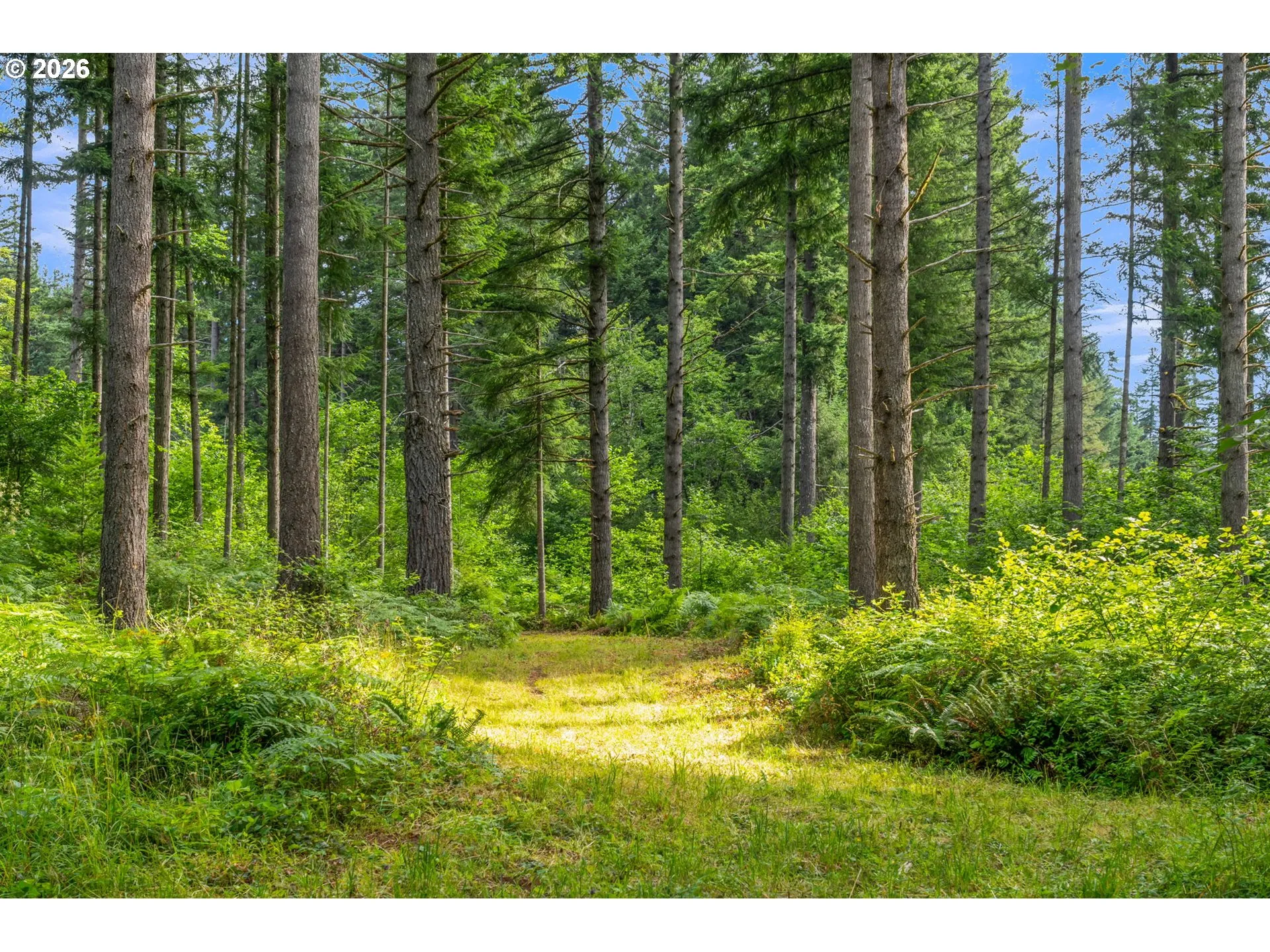 Acreage