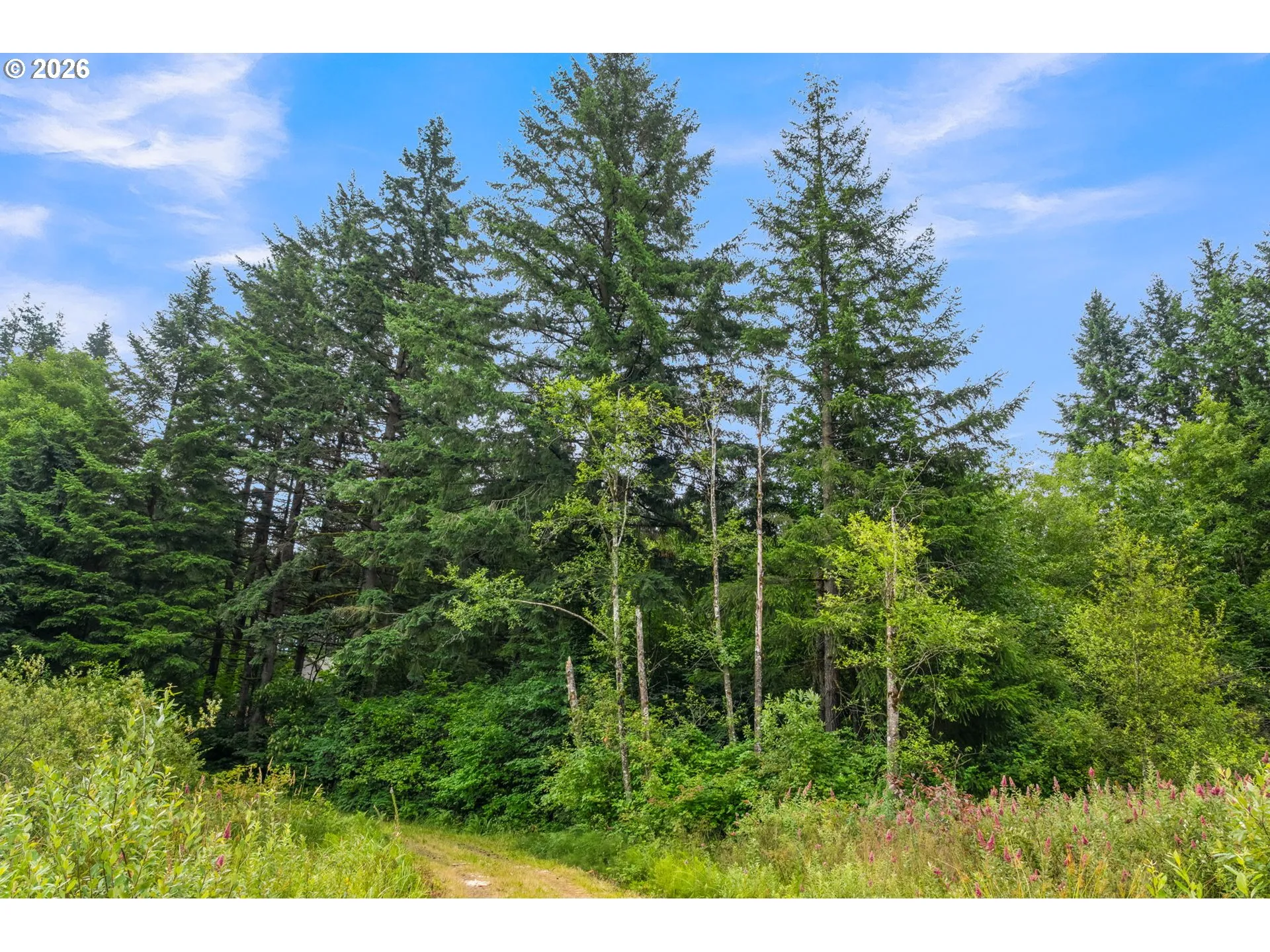 View-Wooded / Acreage