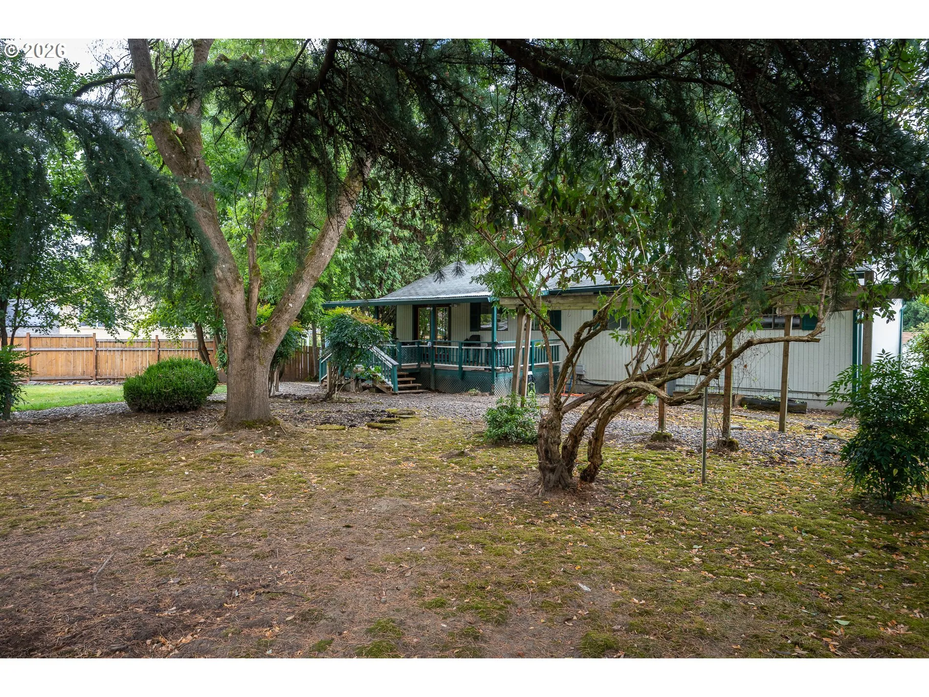 Backyard-View From