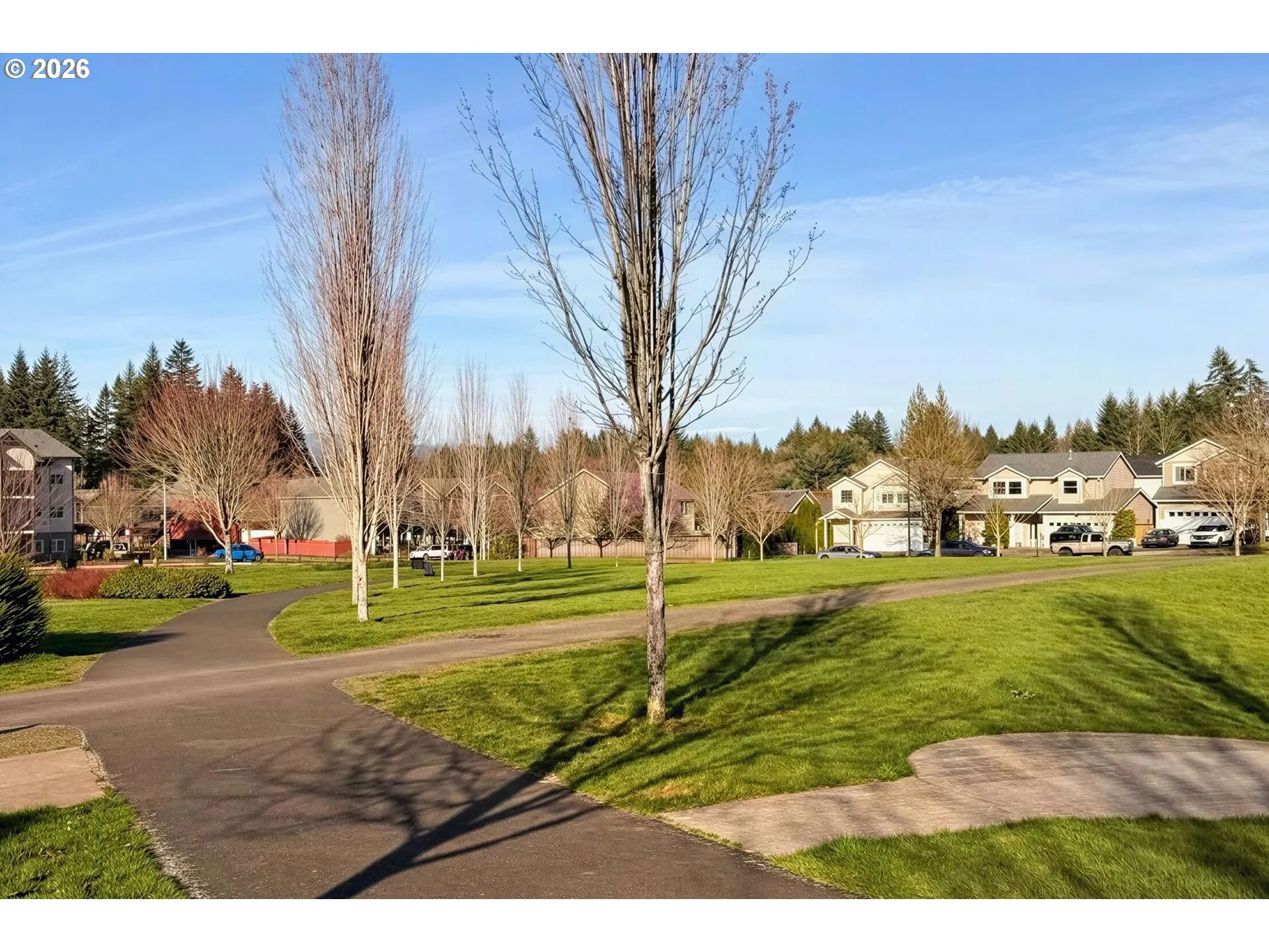 Community Park