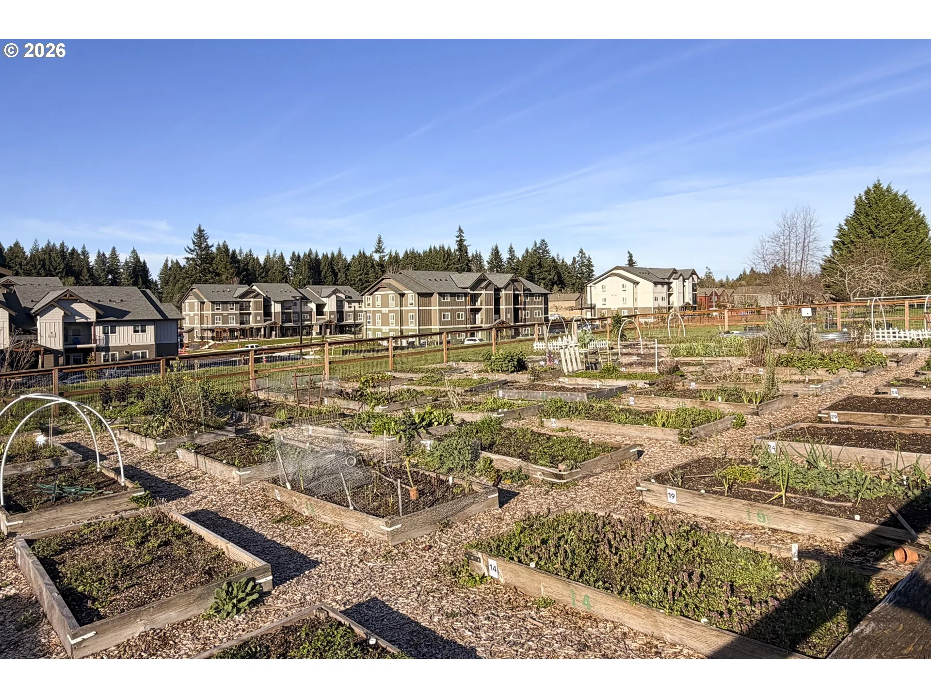 Community Garden