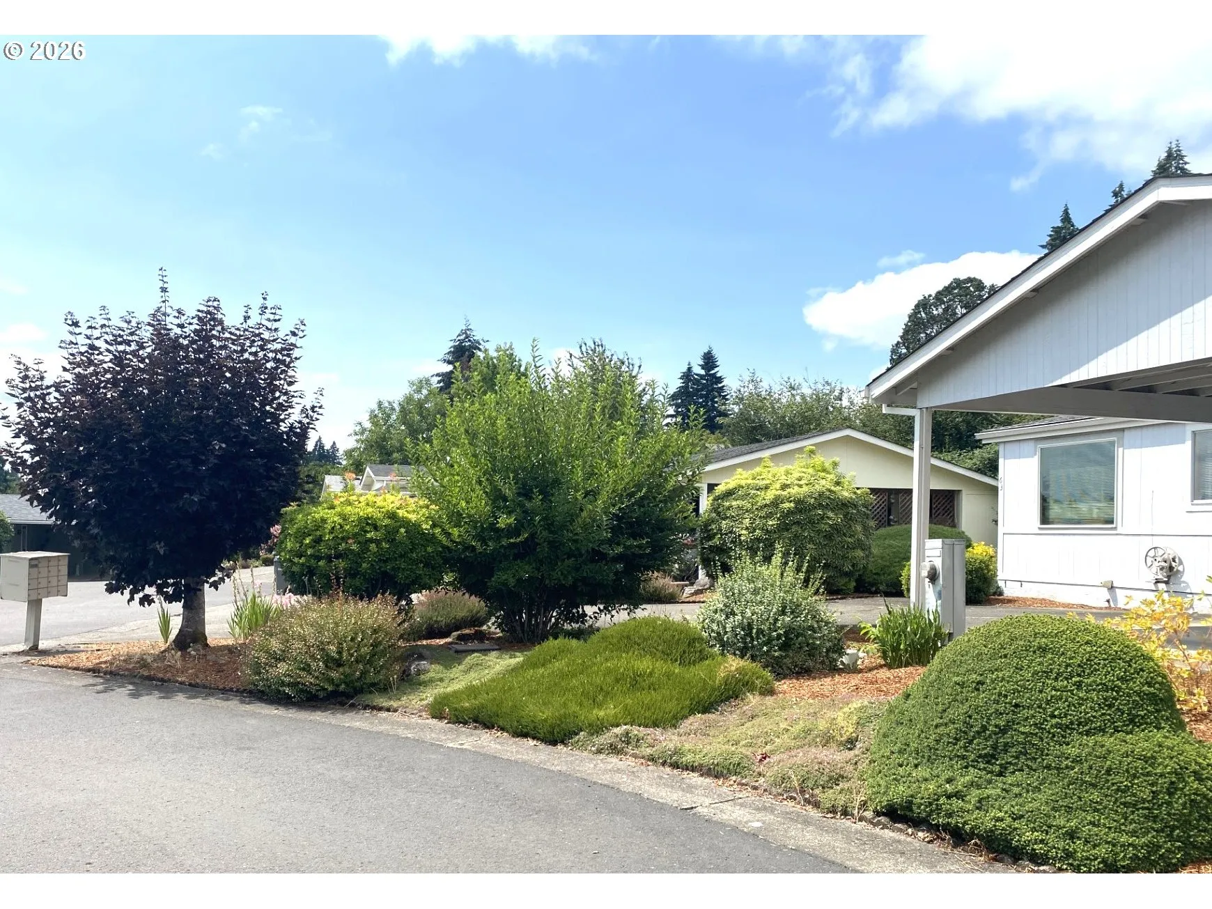 Front Yard