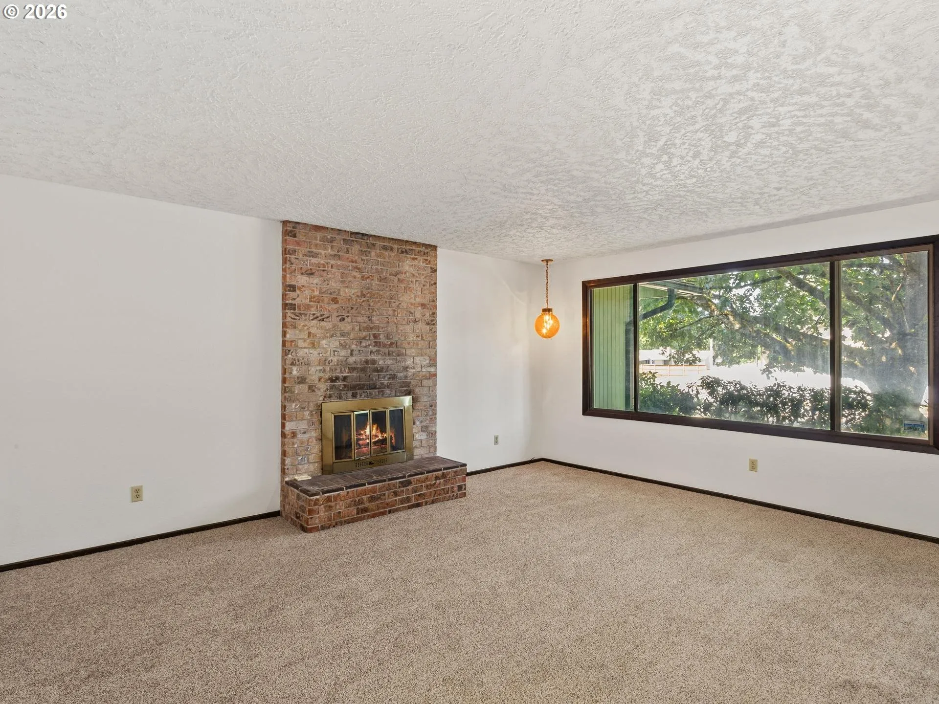 Living Room-Fireplace