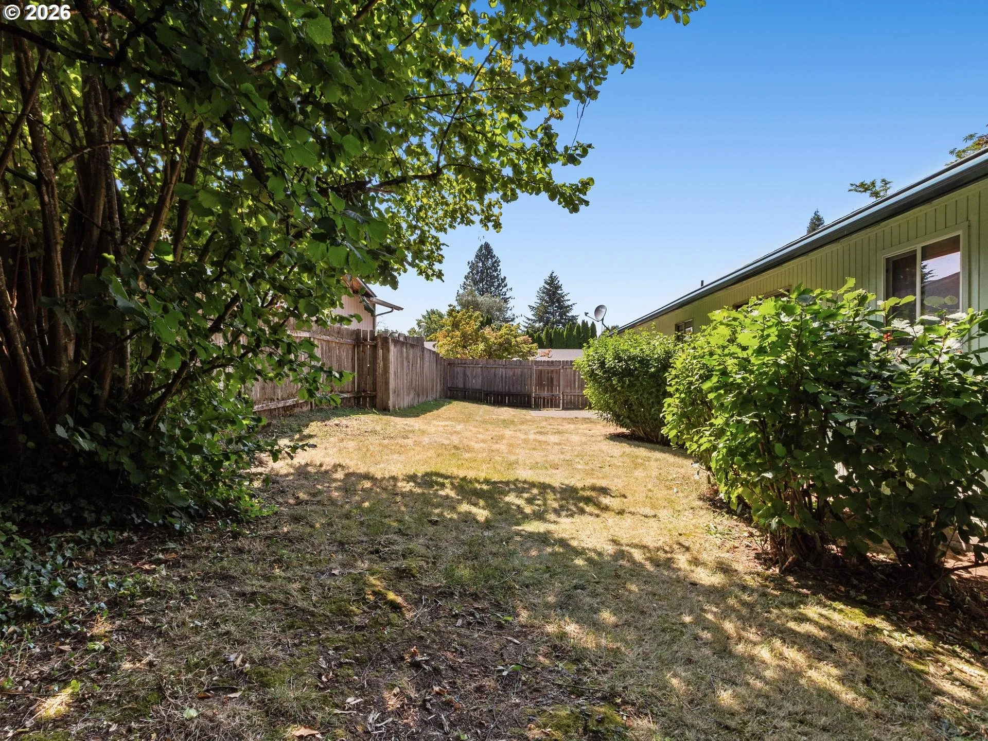 Backyard-Fenced