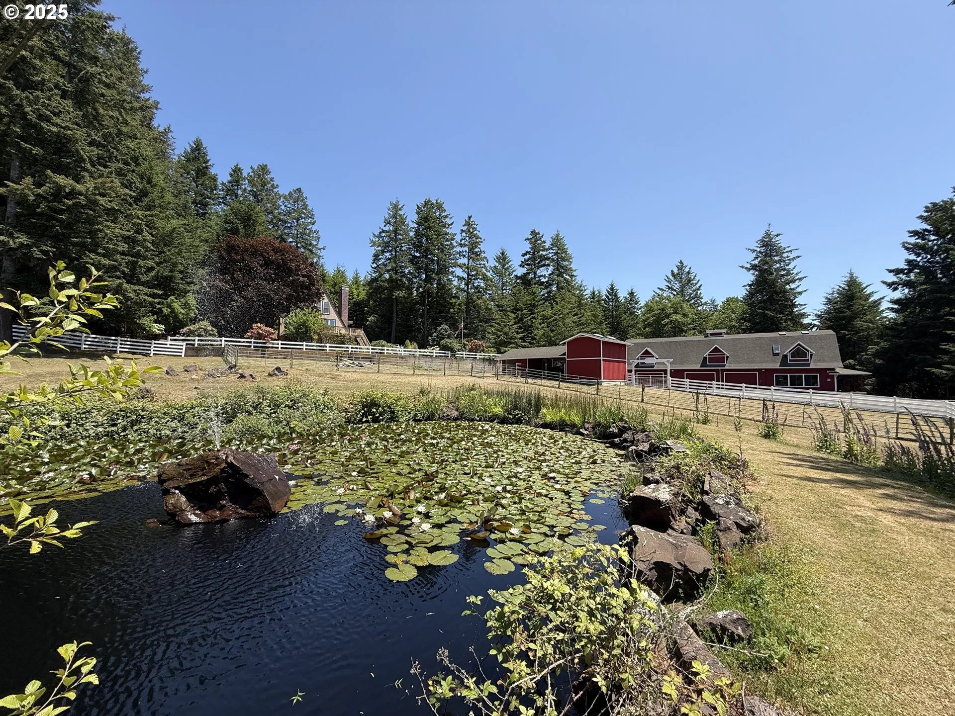 Pond
