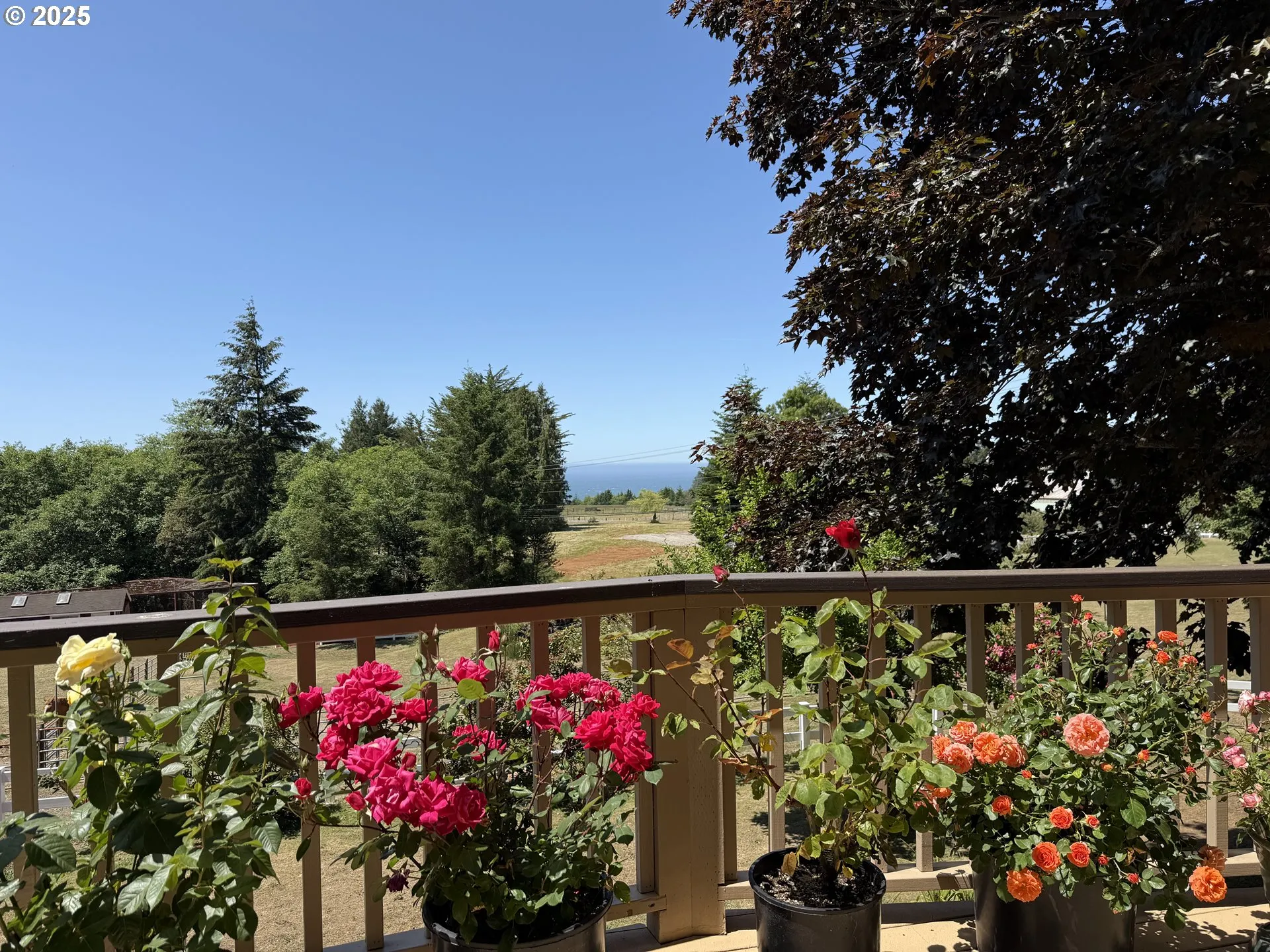 View-Ocean