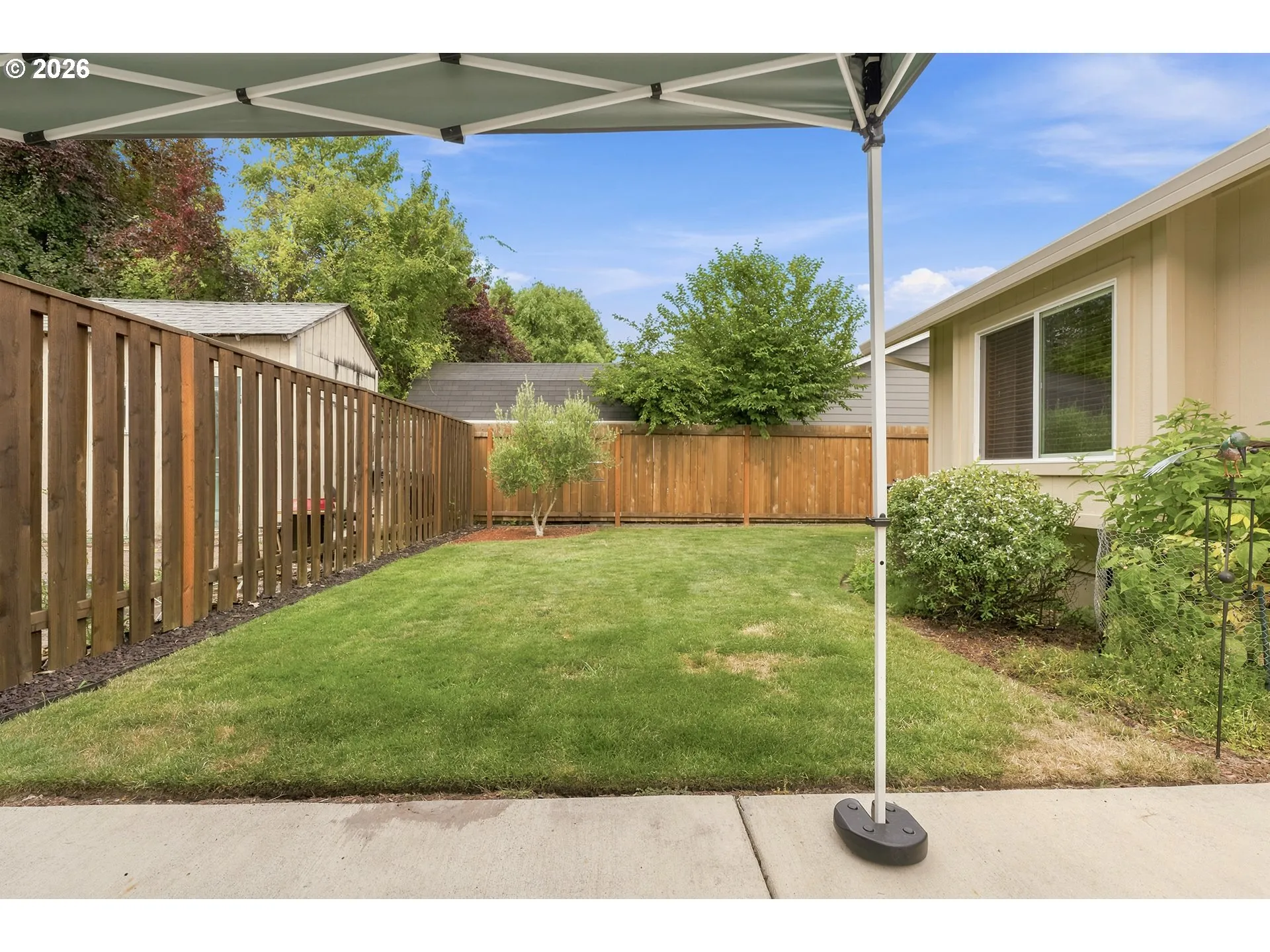 Backyard-Fenced
