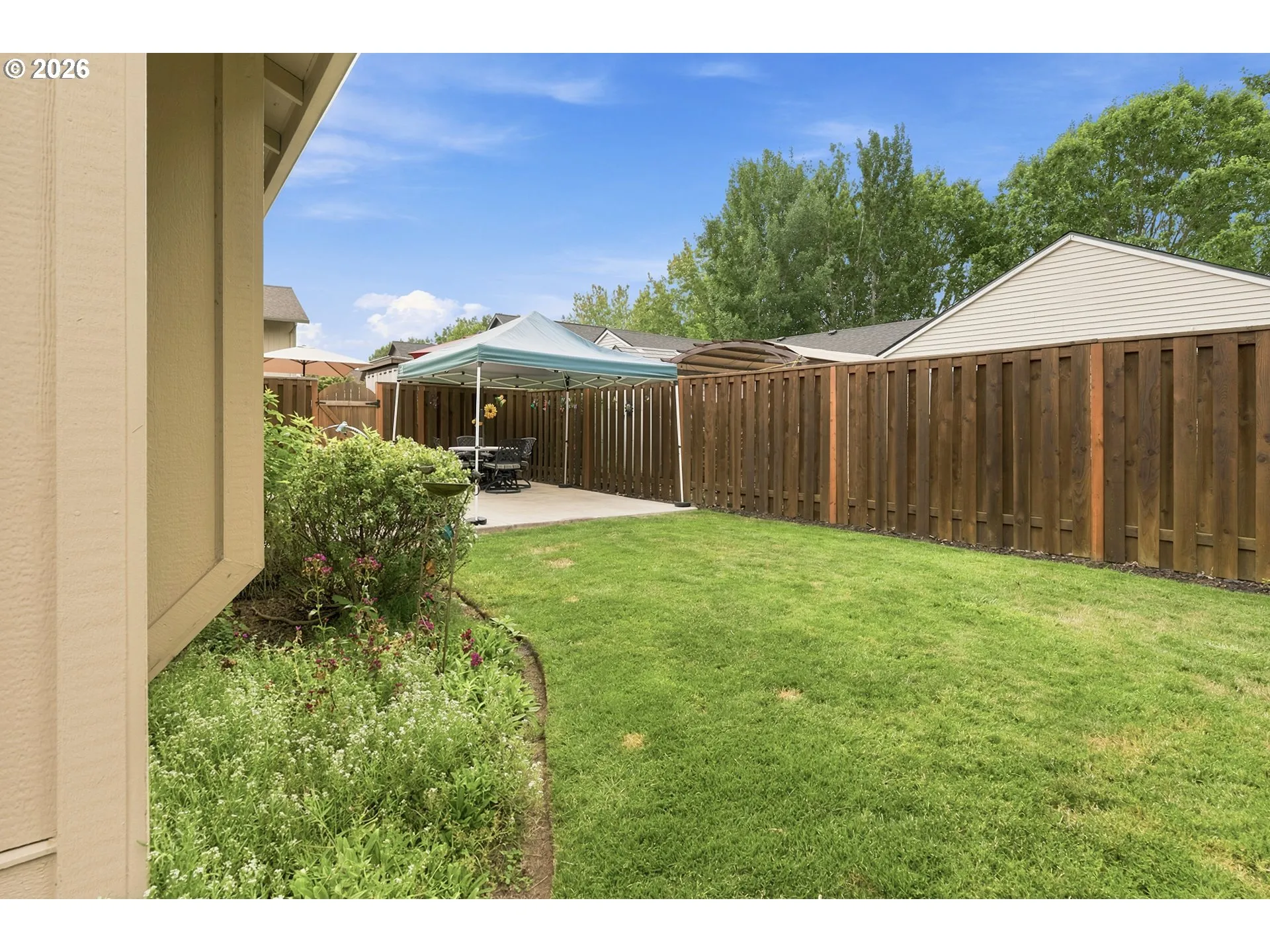 Backyard