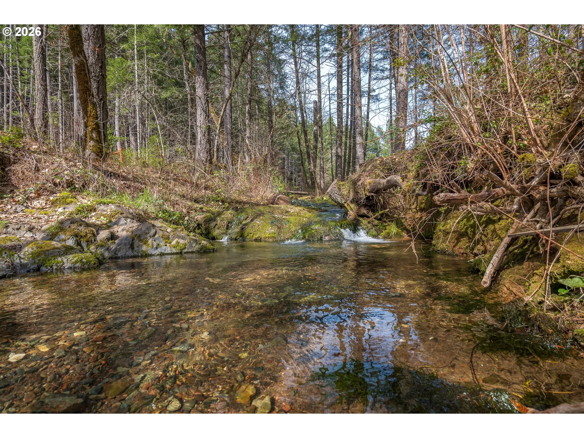 Creek