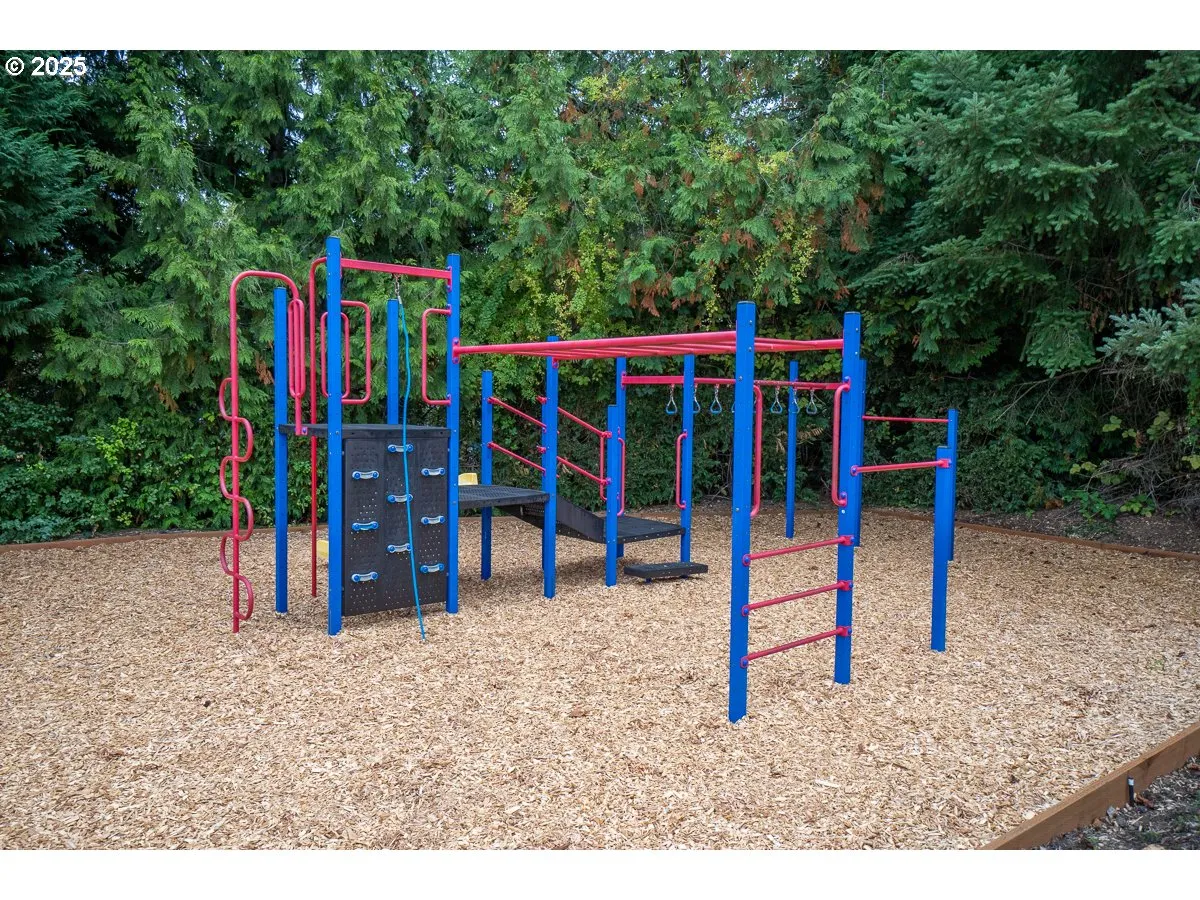 Community Park