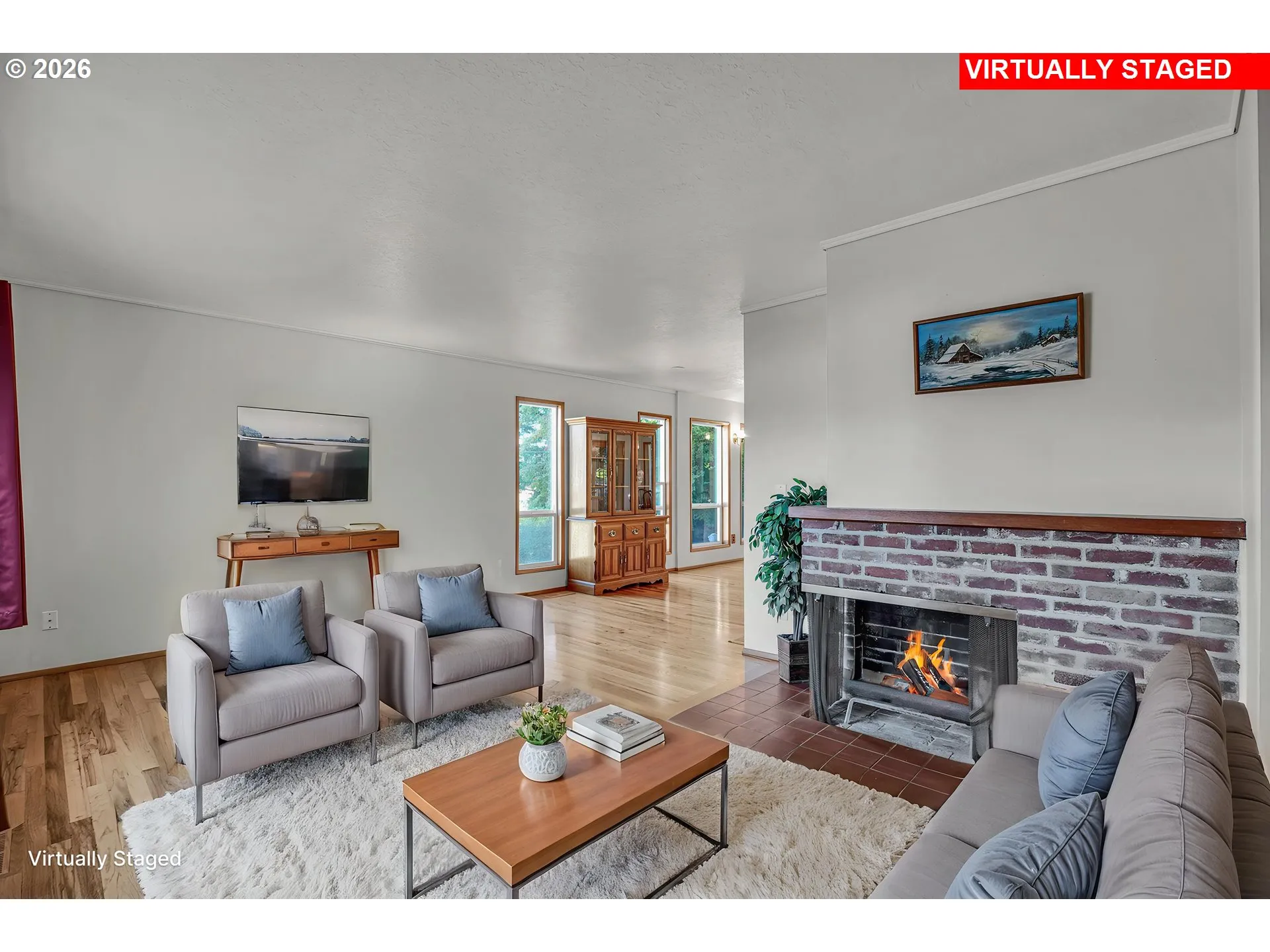 Living Room/Entrance